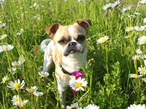 Property building in Bed & Breakfast Eckwirt