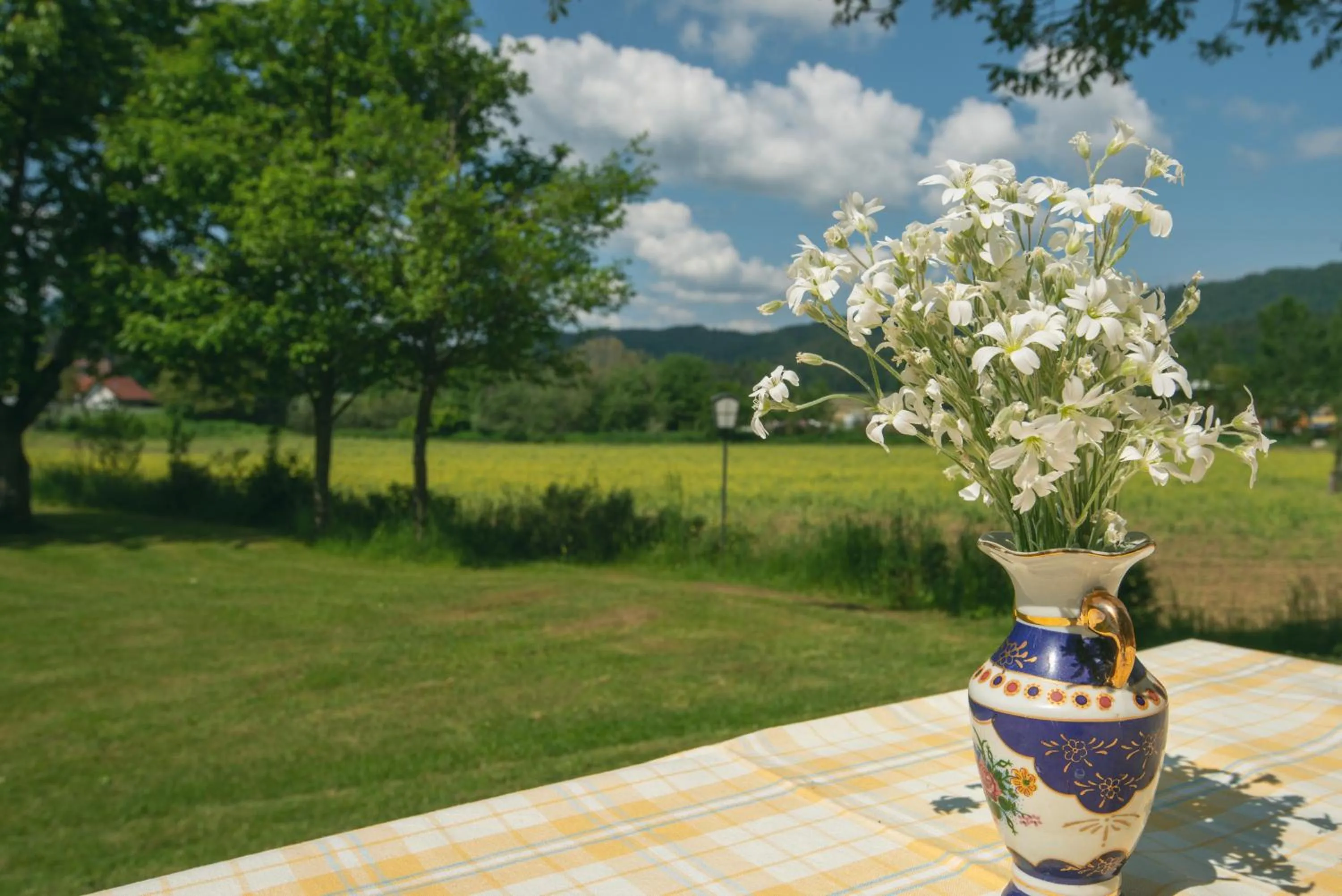 Balcony/Terrace in Bed & Breakfast Eckwirt