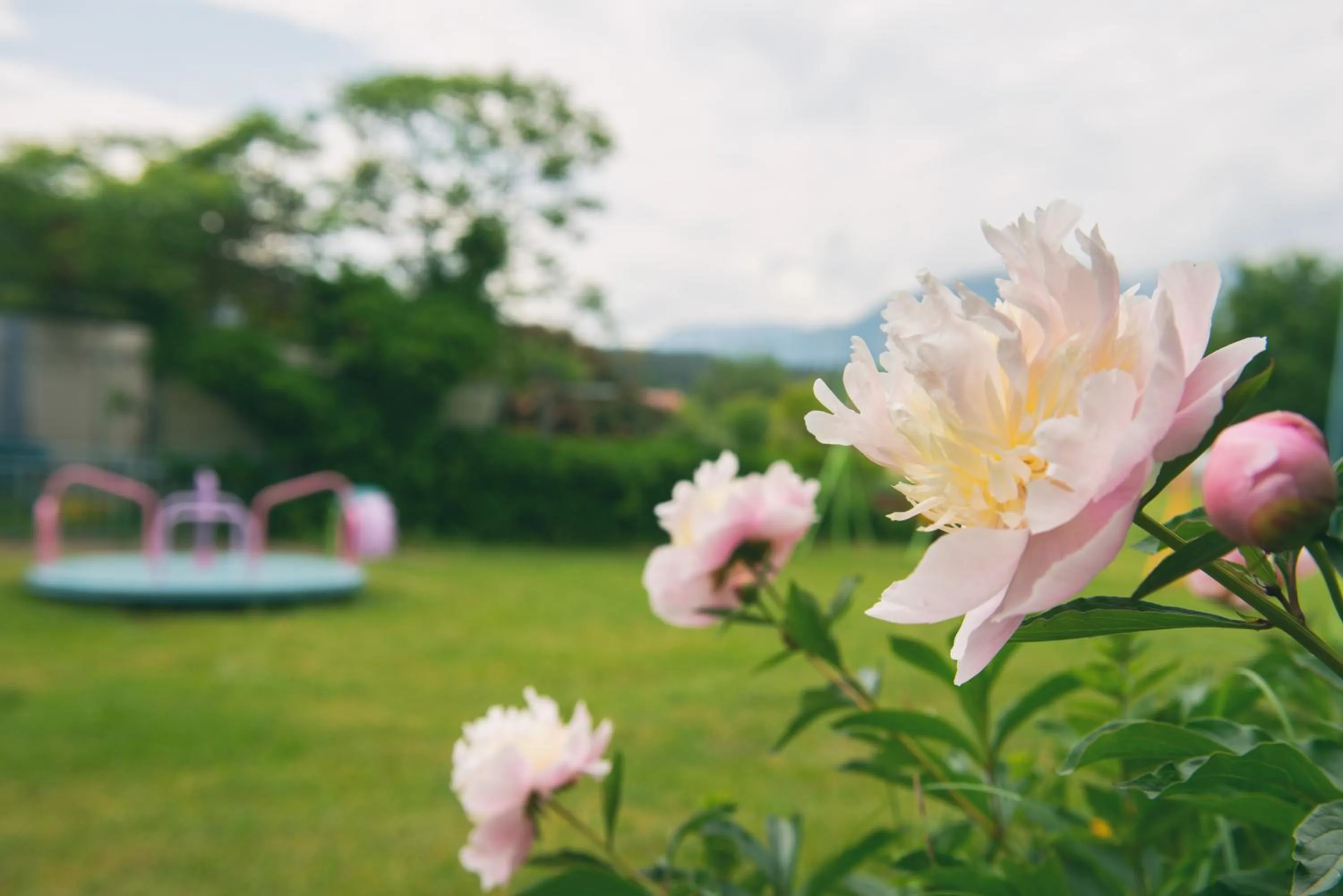 View (from property/room) in Bed & Breakfast Eckwirt