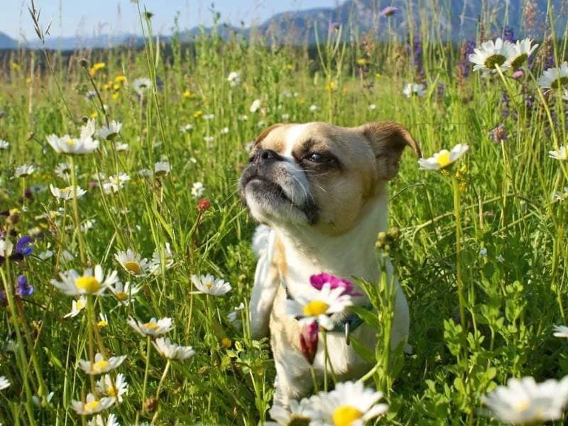 Property building in Bed & Breakfast Eckwirt