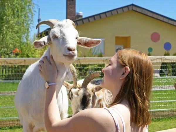 Property building in Bed & Breakfast Eckwirt