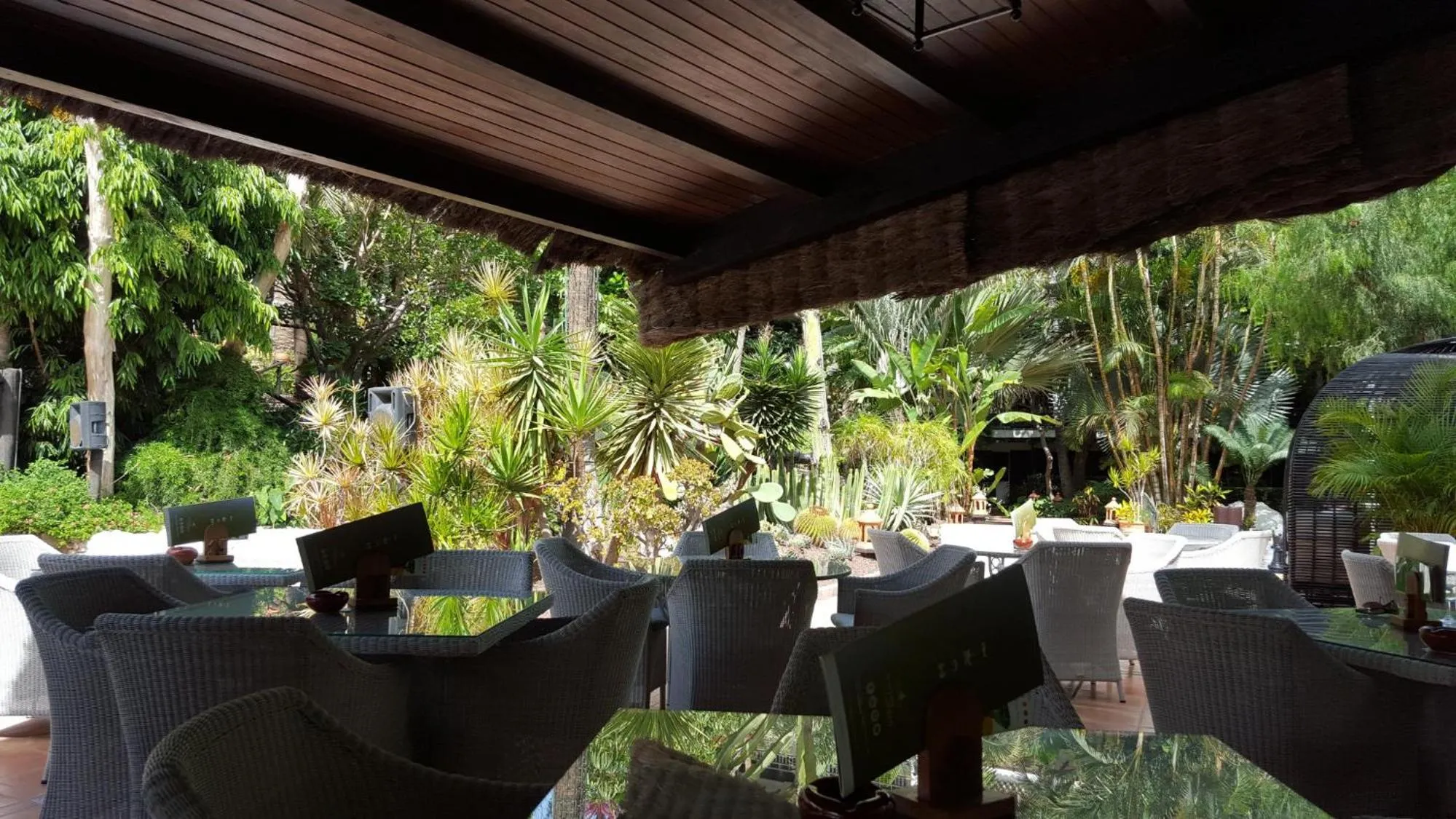 Restaurant/places to eat in Hotel Parque Tropical