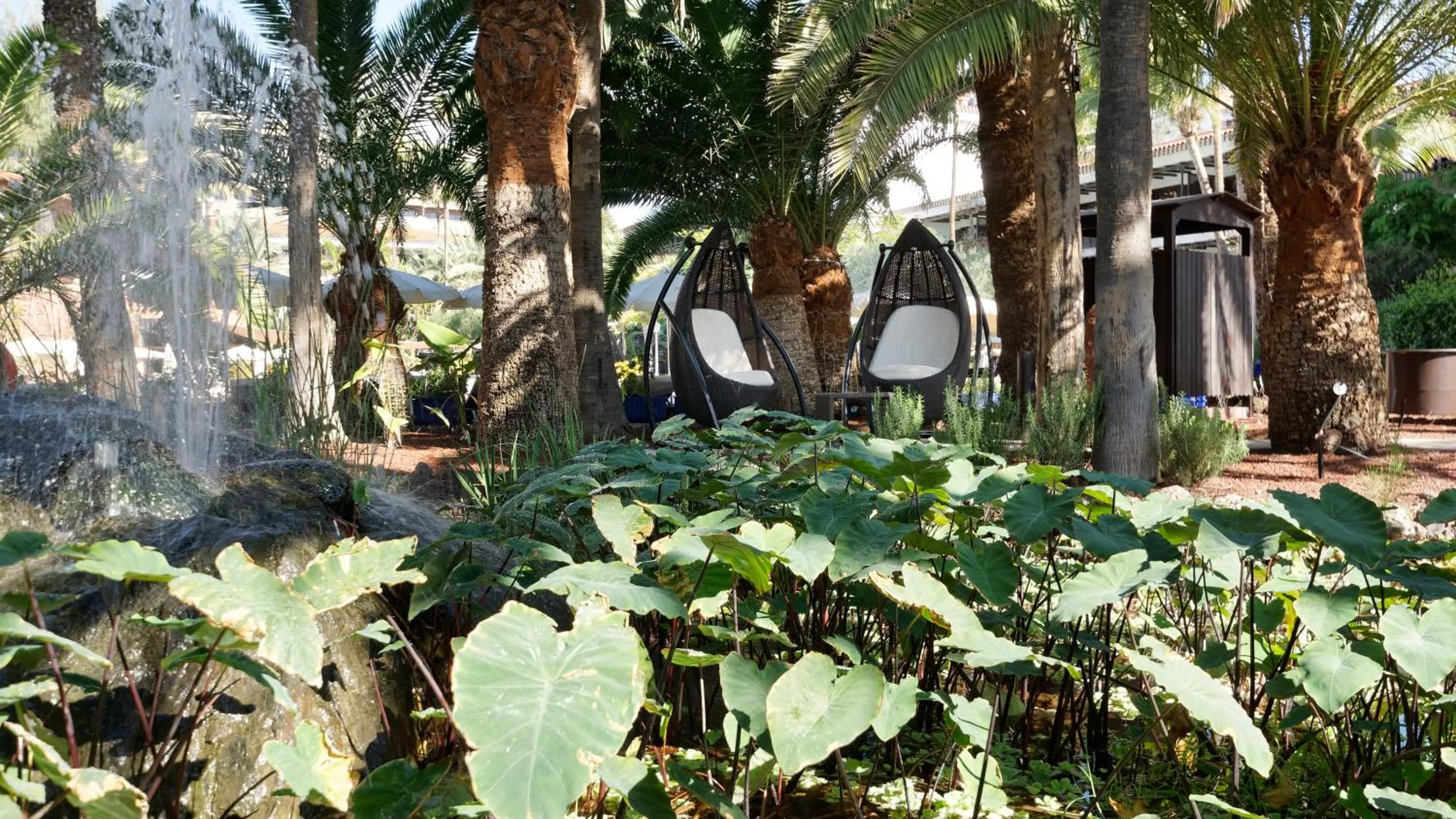 Garden in Hotel Parque Tropical