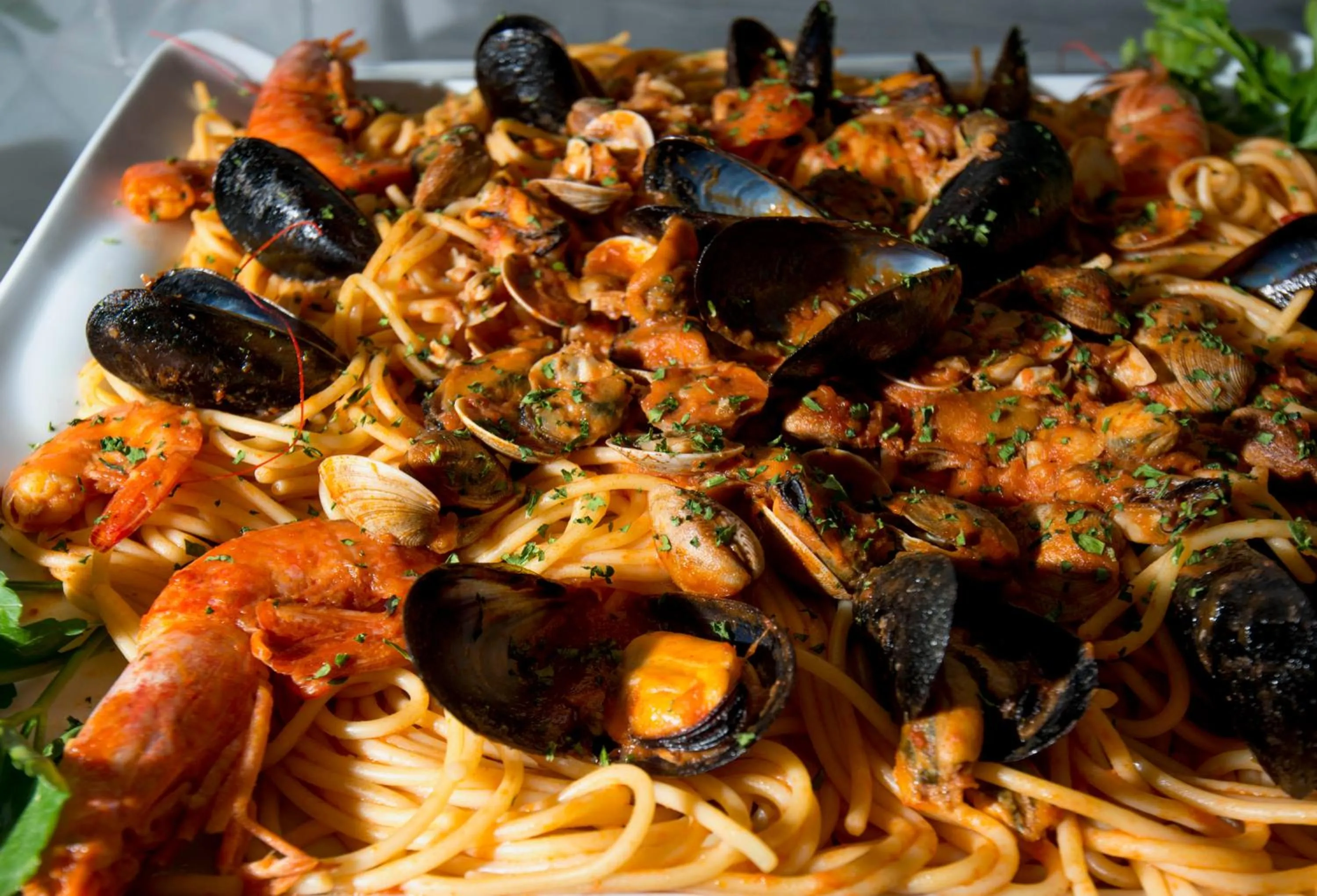 Restaurant/places to eat in Hotel Scarlet