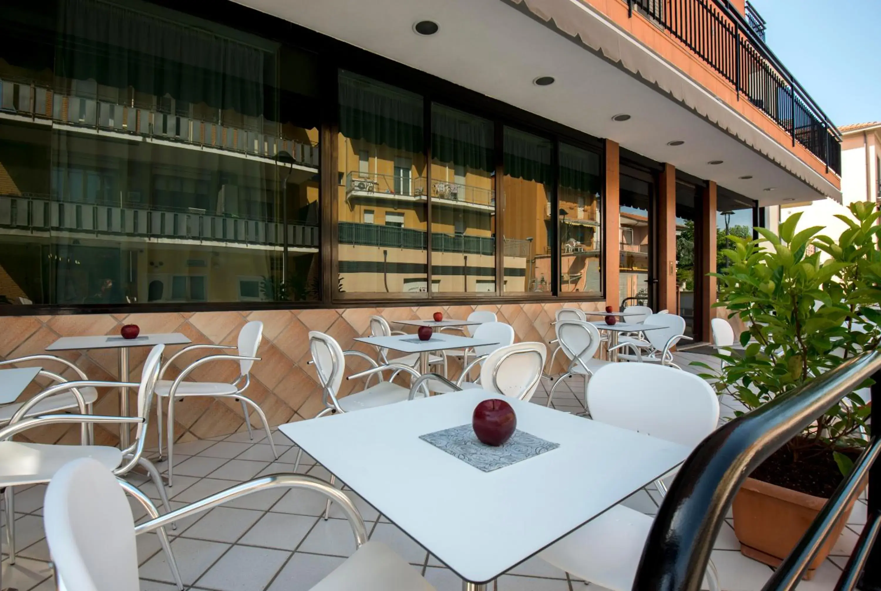 Lounge or bar in Hotel Scarlet Lounge or bar in Hotel Scarlet