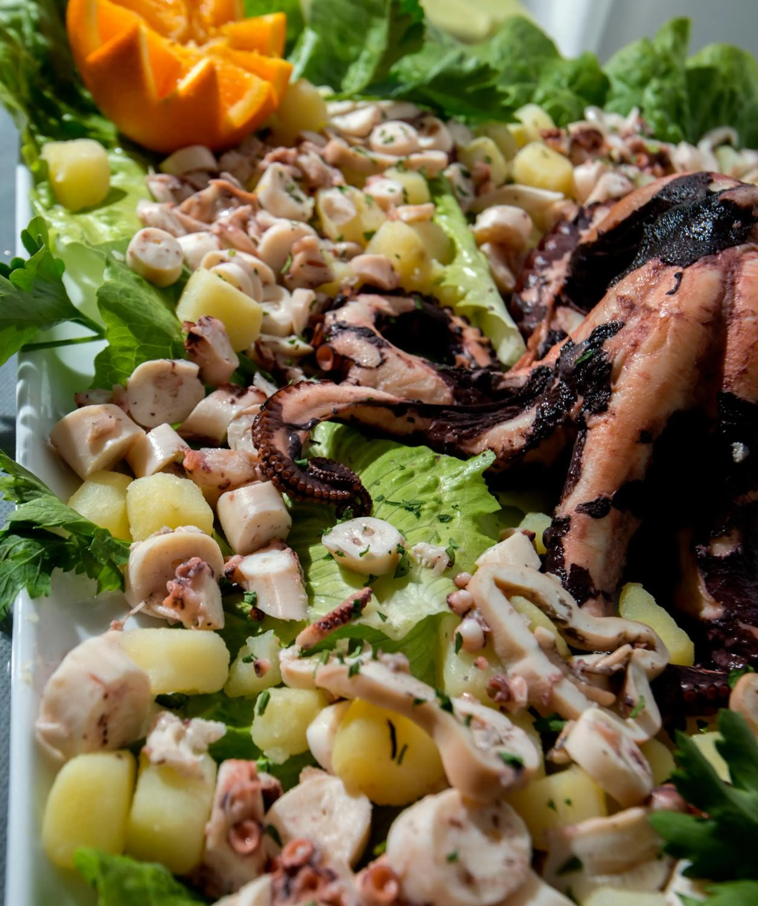 Restaurant/places to eat in Hotel Scarlet