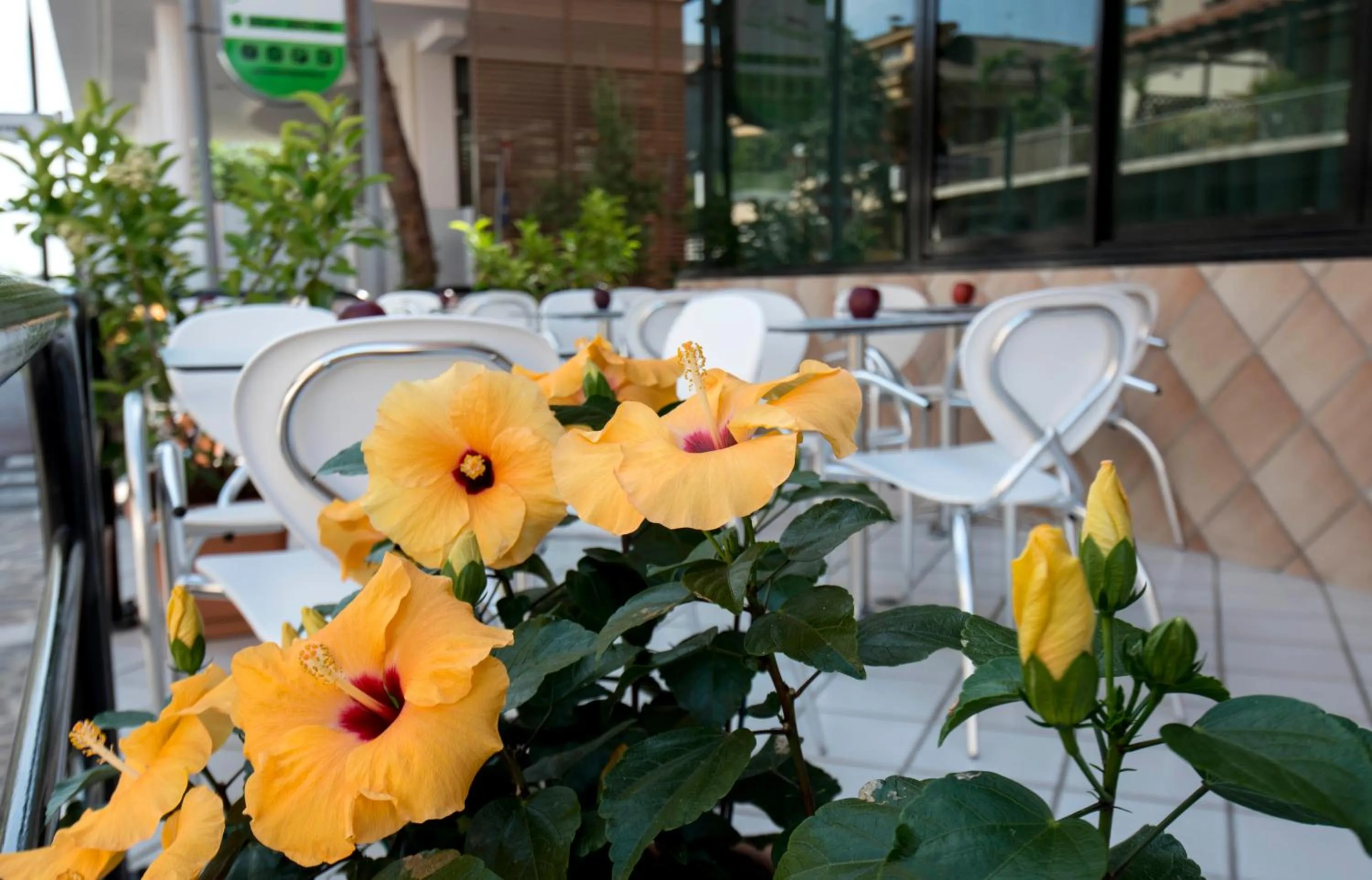 Patio in Hotel Scarlet