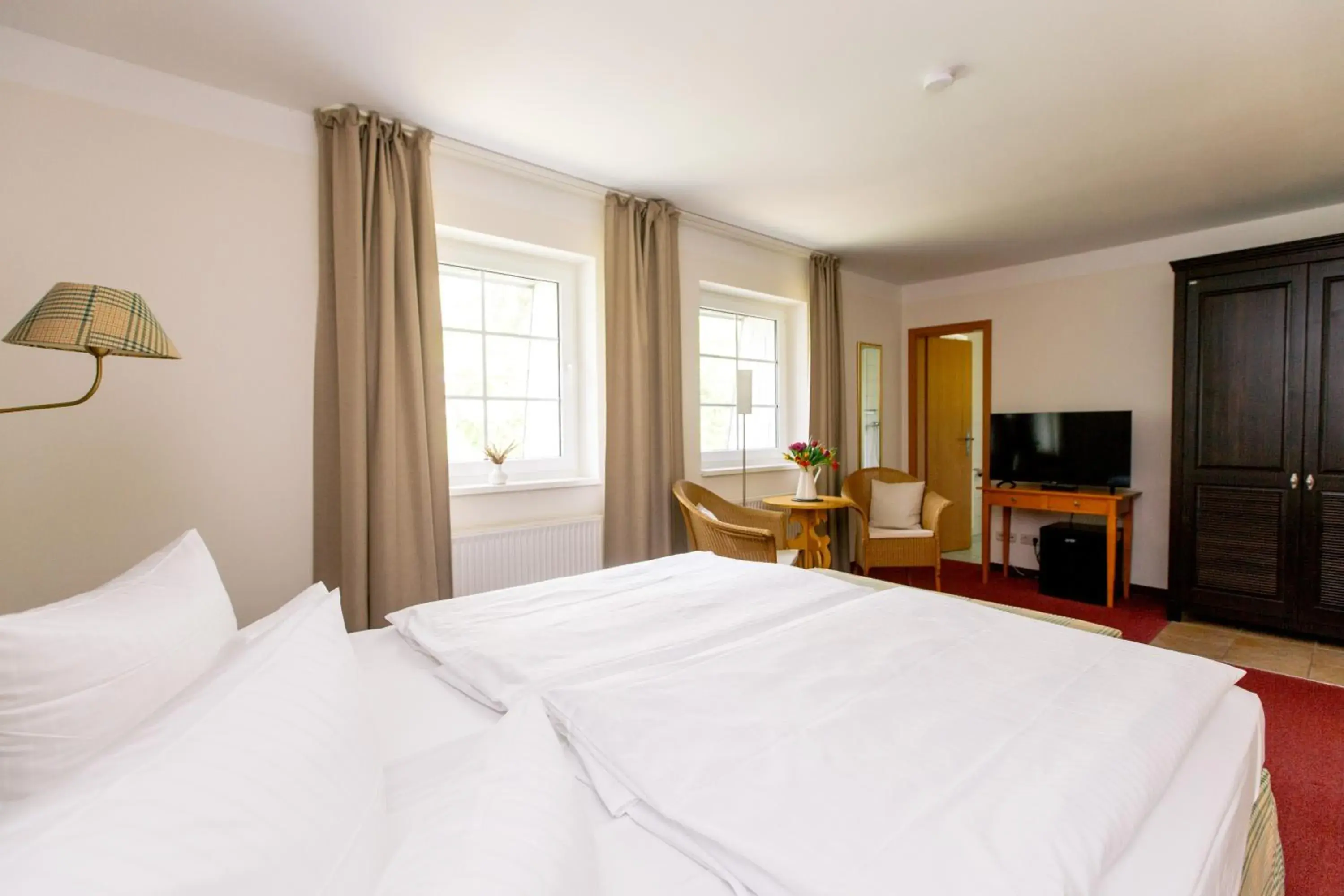 Double Room - single occupancy in FerienResidenz MüritzPark Double Room - single occupancy in FerienResidenz MüritzPark