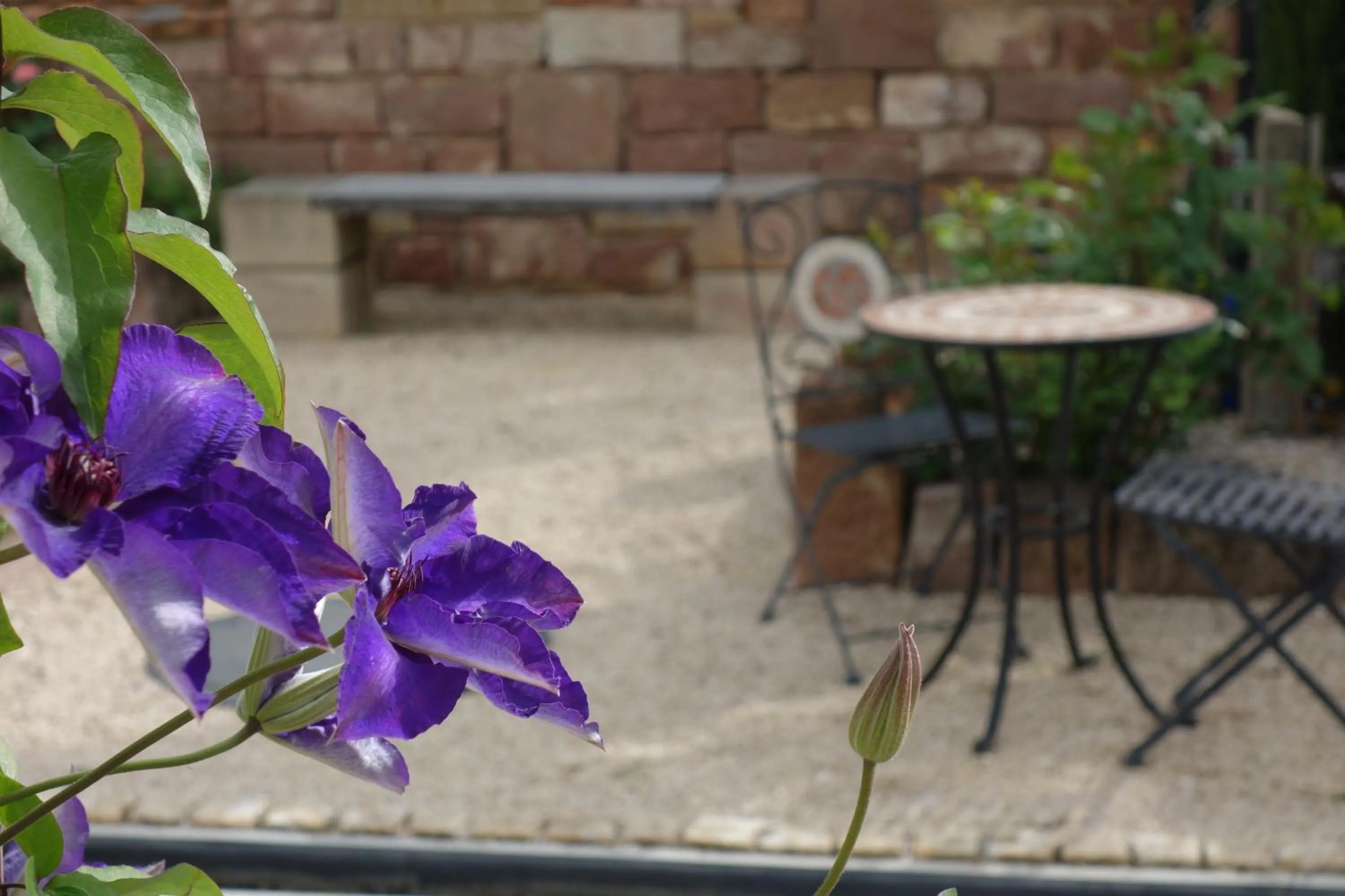Garden in Casa Palatina