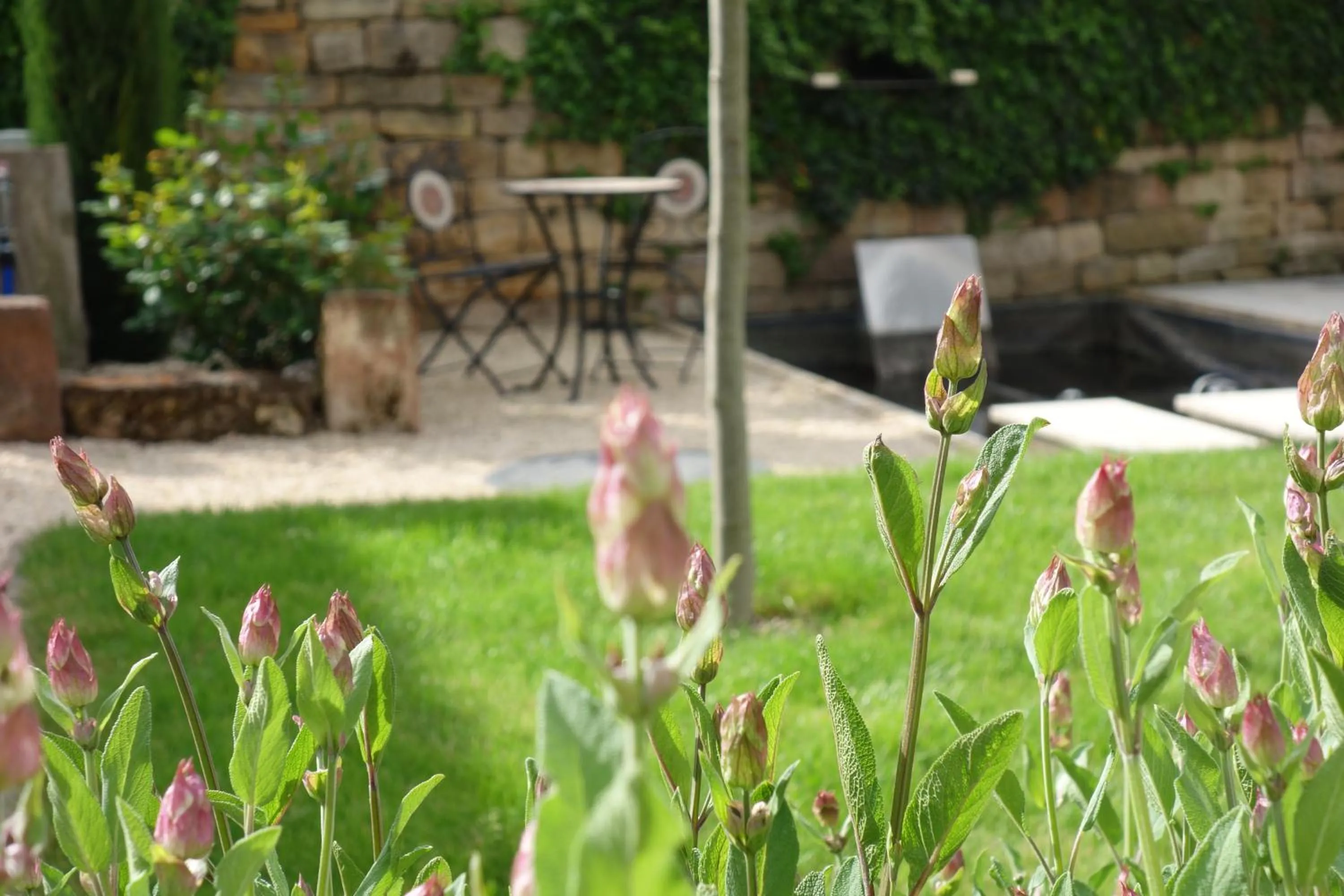 Garden in Casa Palatina