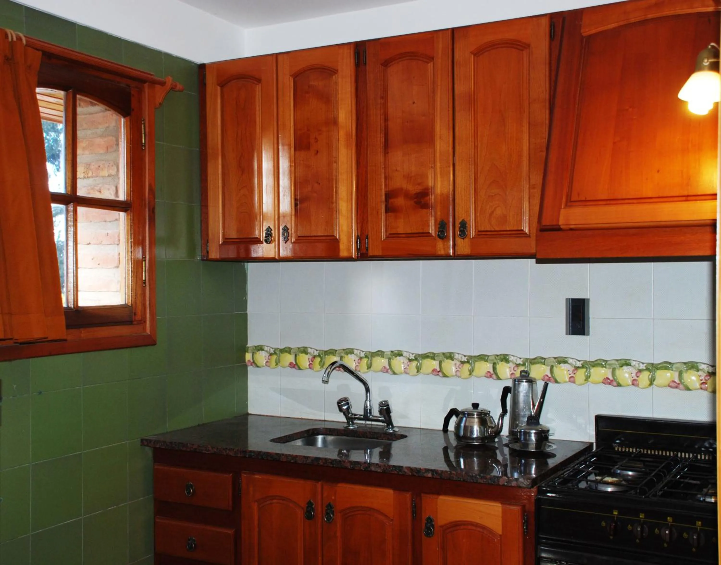 Kitchen or kitchenette in Lejano Nahuel