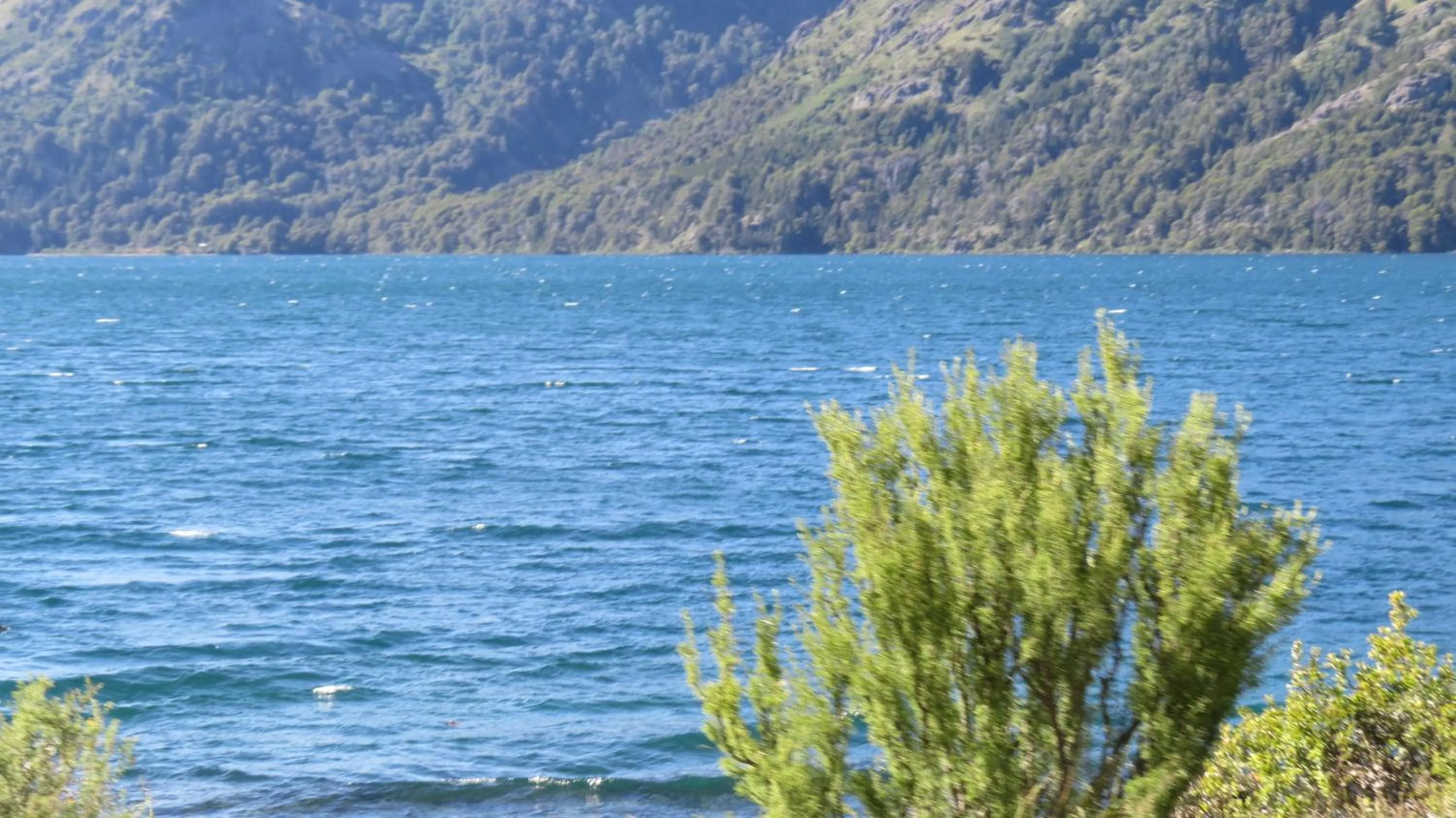 Natural landscape in Lejano Nahuel
