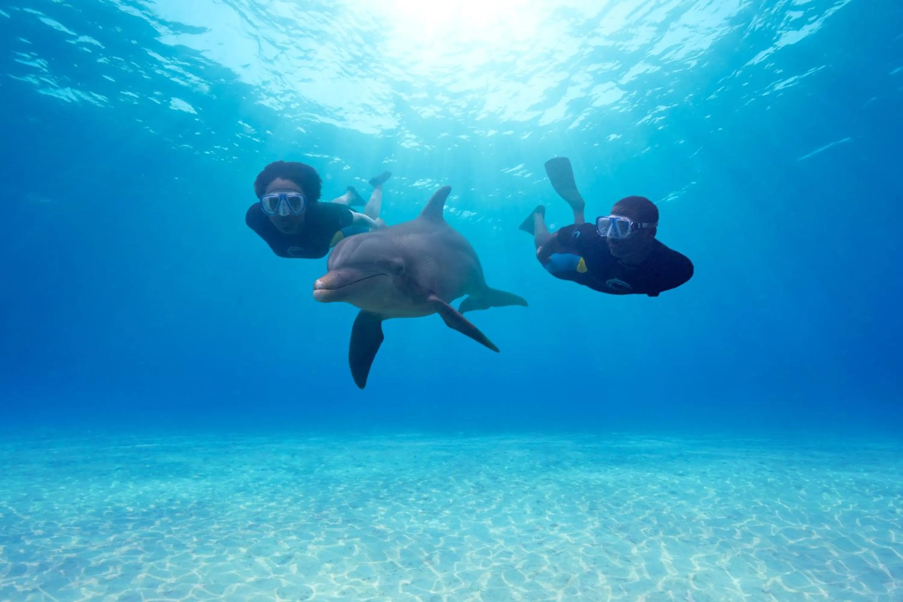 Activities in The Reef at Atlantis