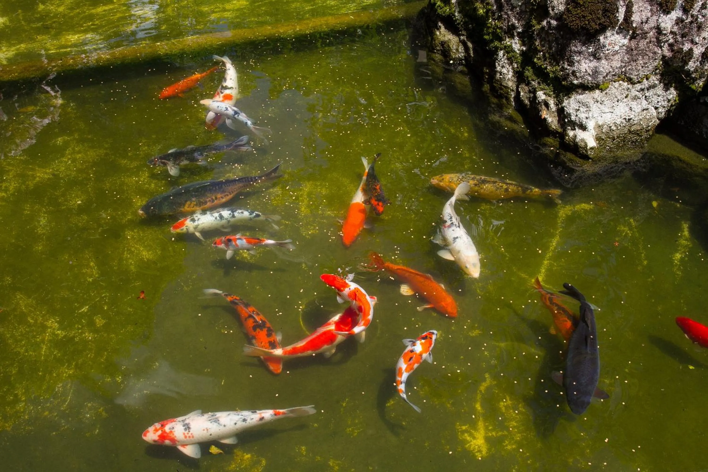 Garden in Hotel Matsubara