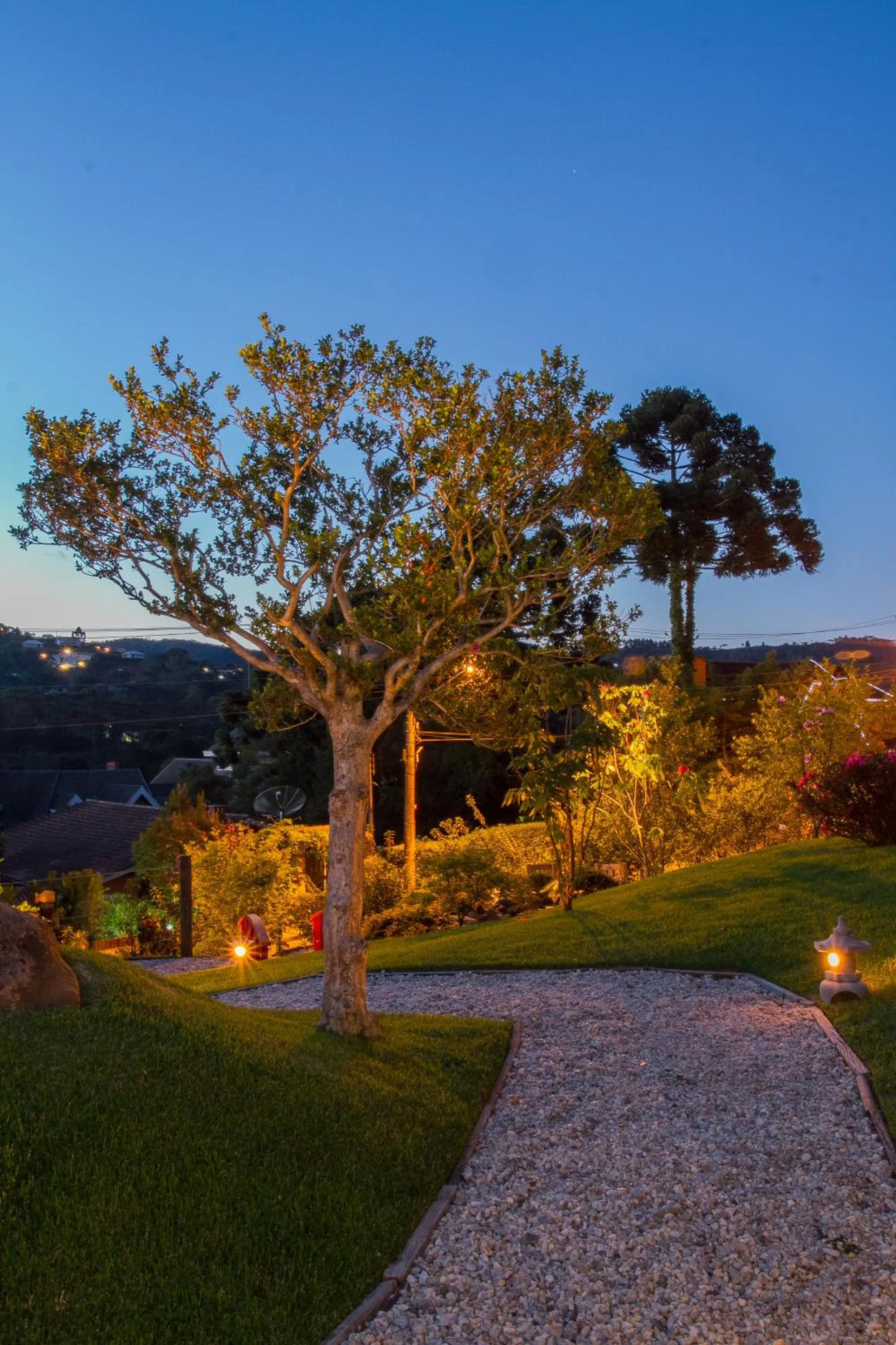 Garden in Hotel Matsubara