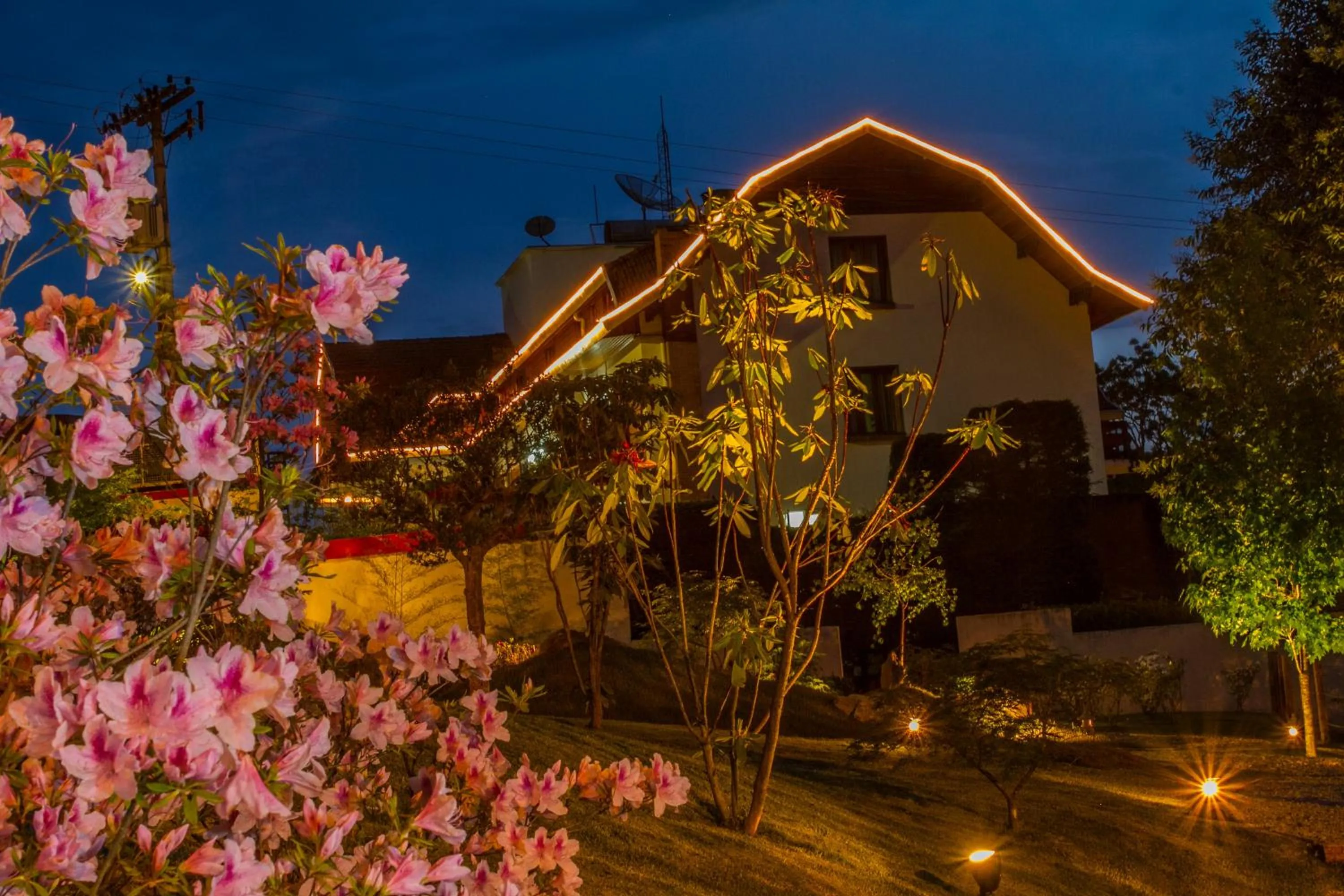 Garden in Hotel Matsubara