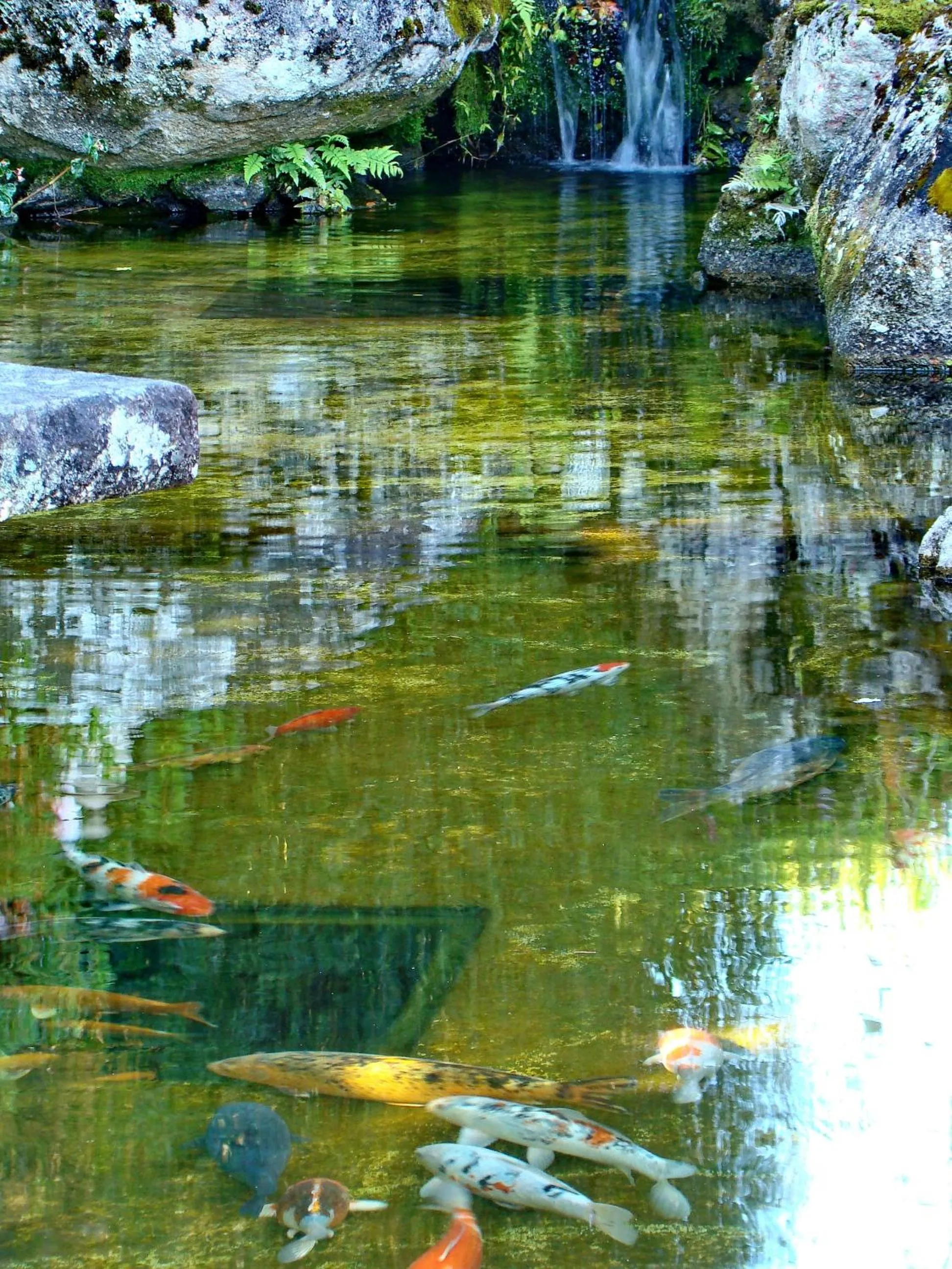 Other in Hotel Matsubara
