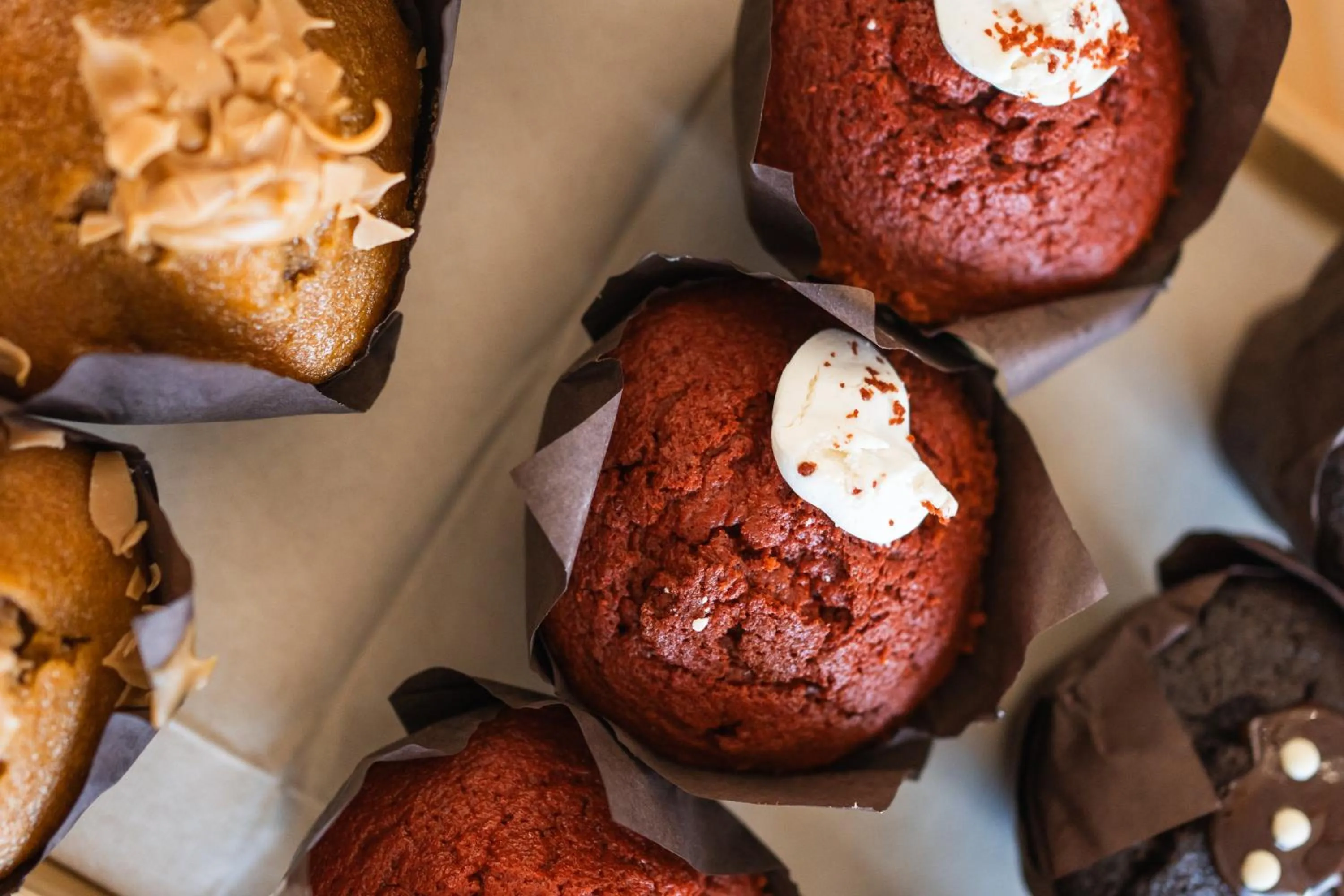 Lounge or bar in Serra d'Aire Boutique Hotel - SA Hotels