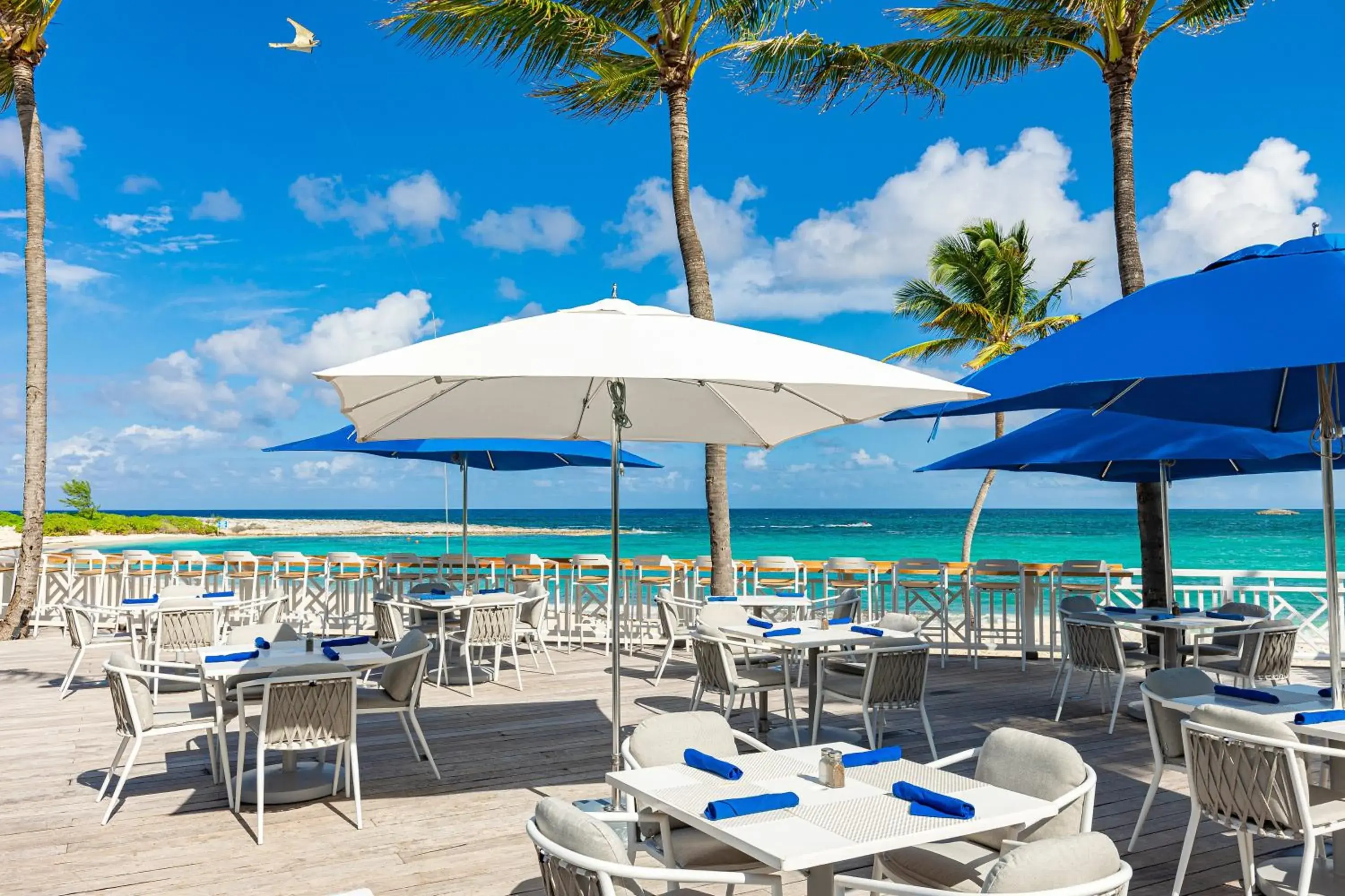 Restaurant/places to eat in The Cove at Atlantis Restaurant/places to eat in The Cove at Atlantis