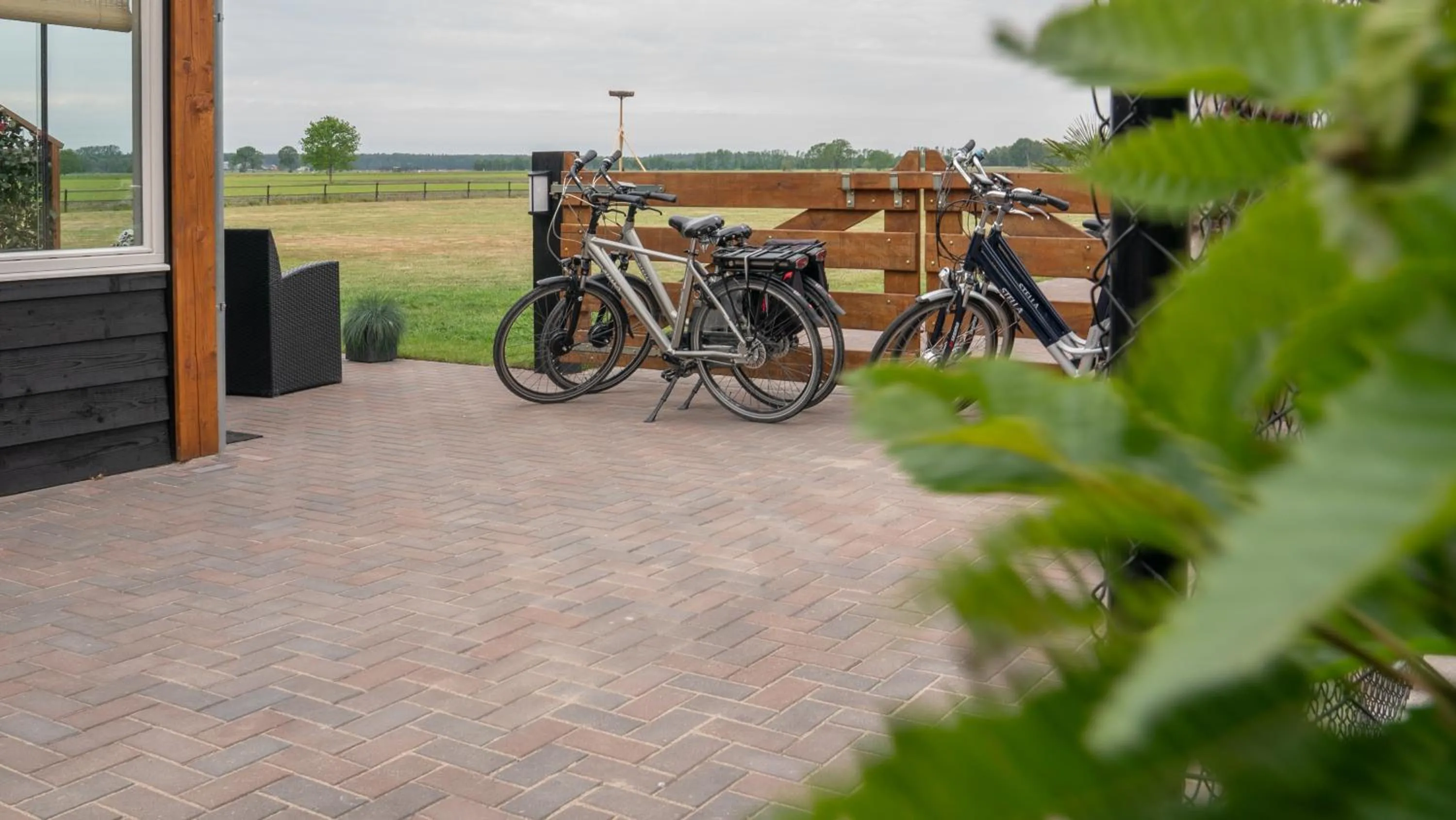 Cycling in B&B Hertenhoef, Fluitenberg (Hoogeveen)
