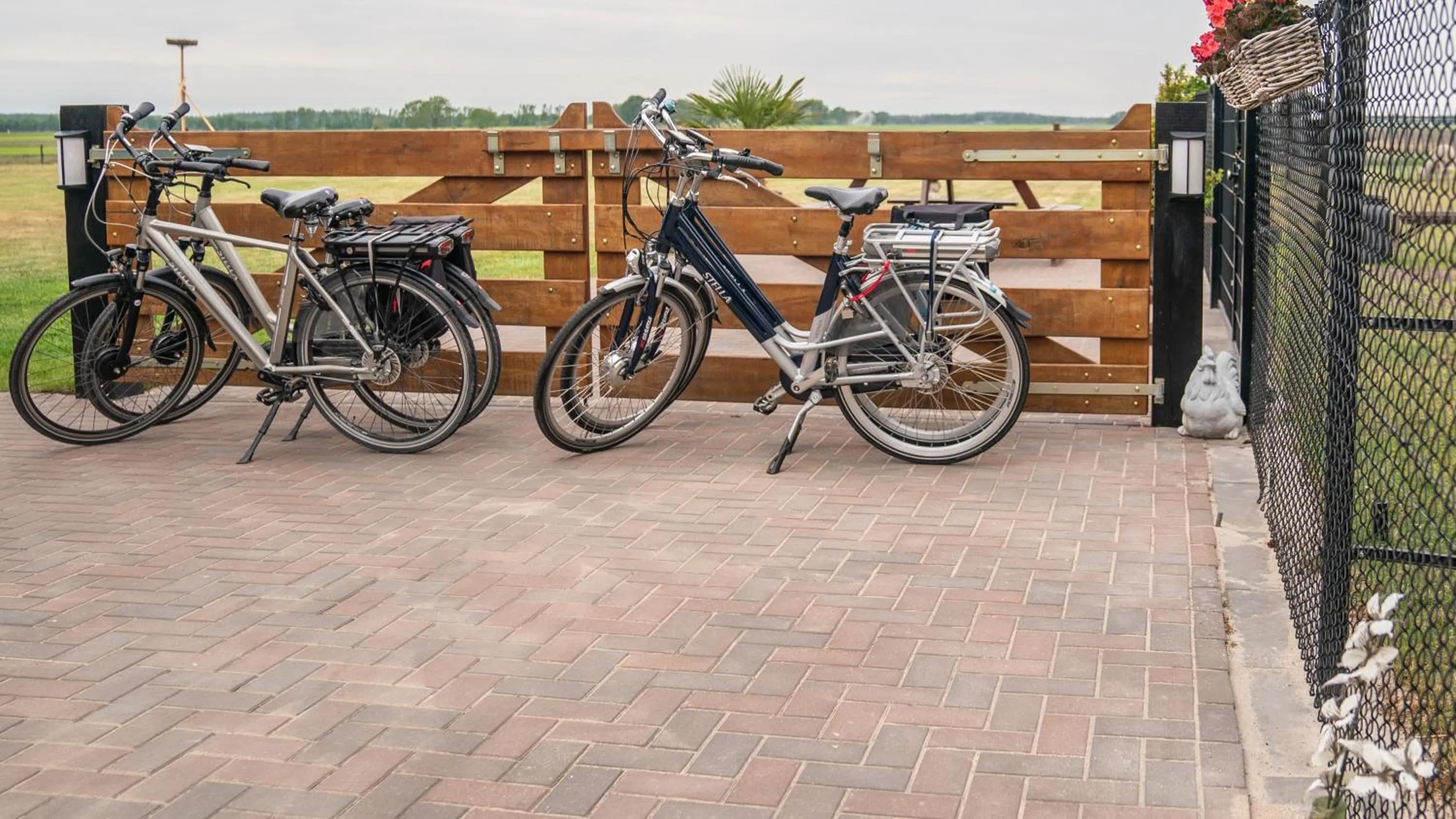 Cycling in B&B Hertenhoef, Fluitenberg (Hoogeveen)
