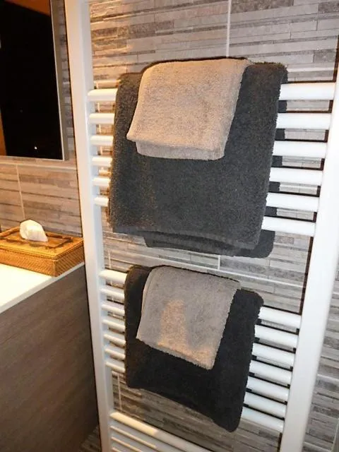 towels in B&B Hertenhoef, Fluitenberg (Hoogeveen)
