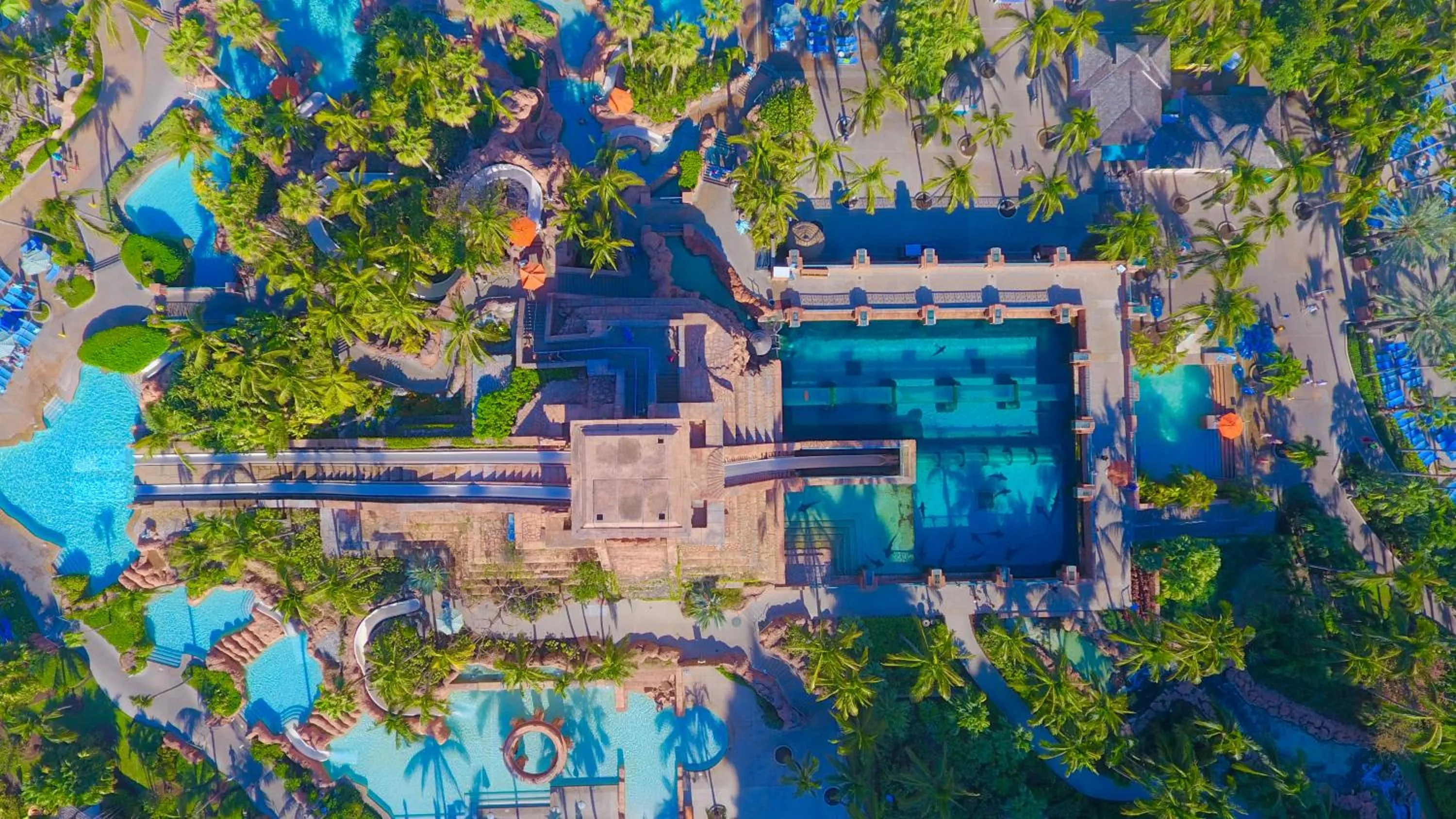 Activities in The Royal at Atlantis