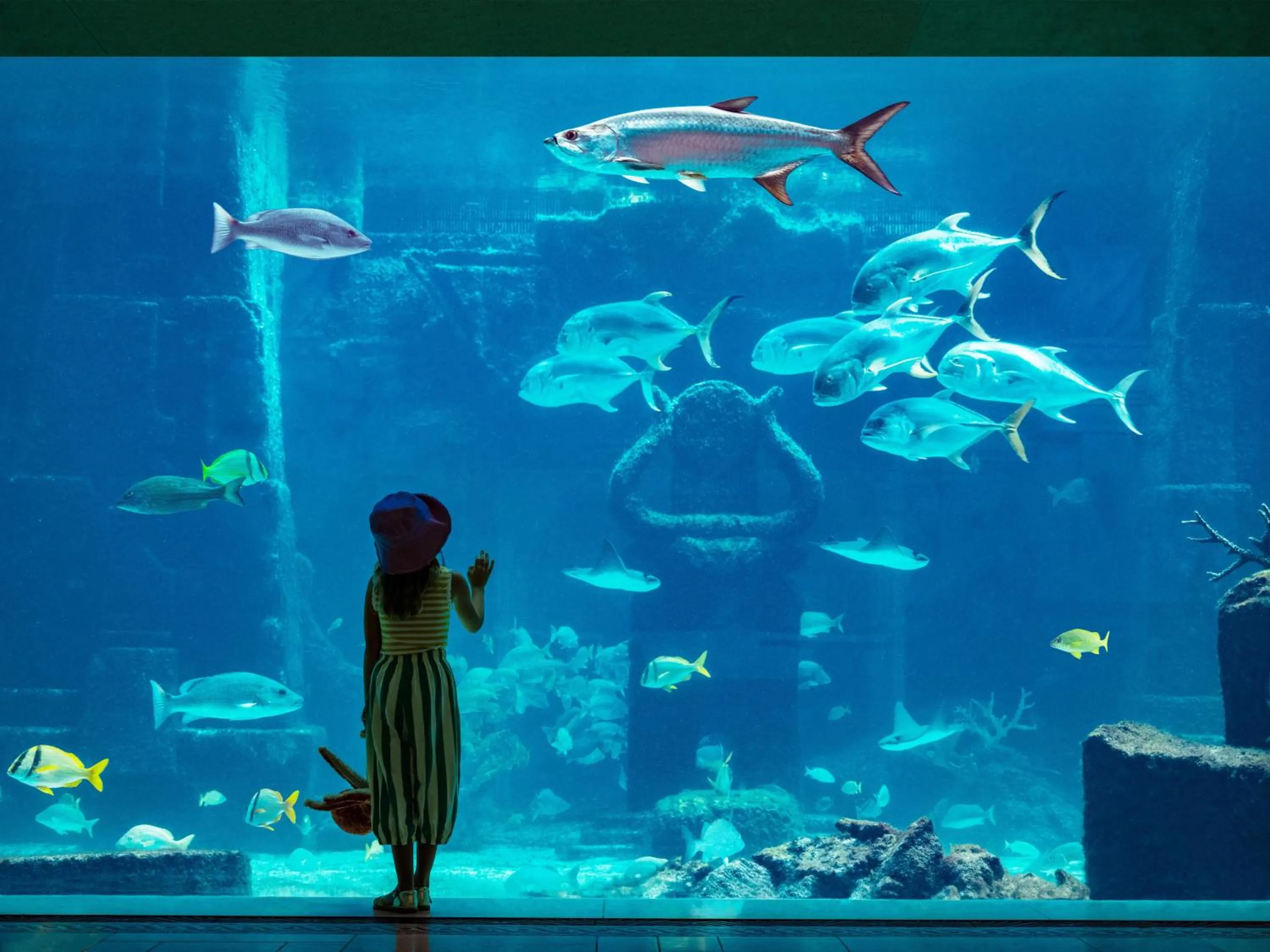 Activities in The Royal at Atlantis