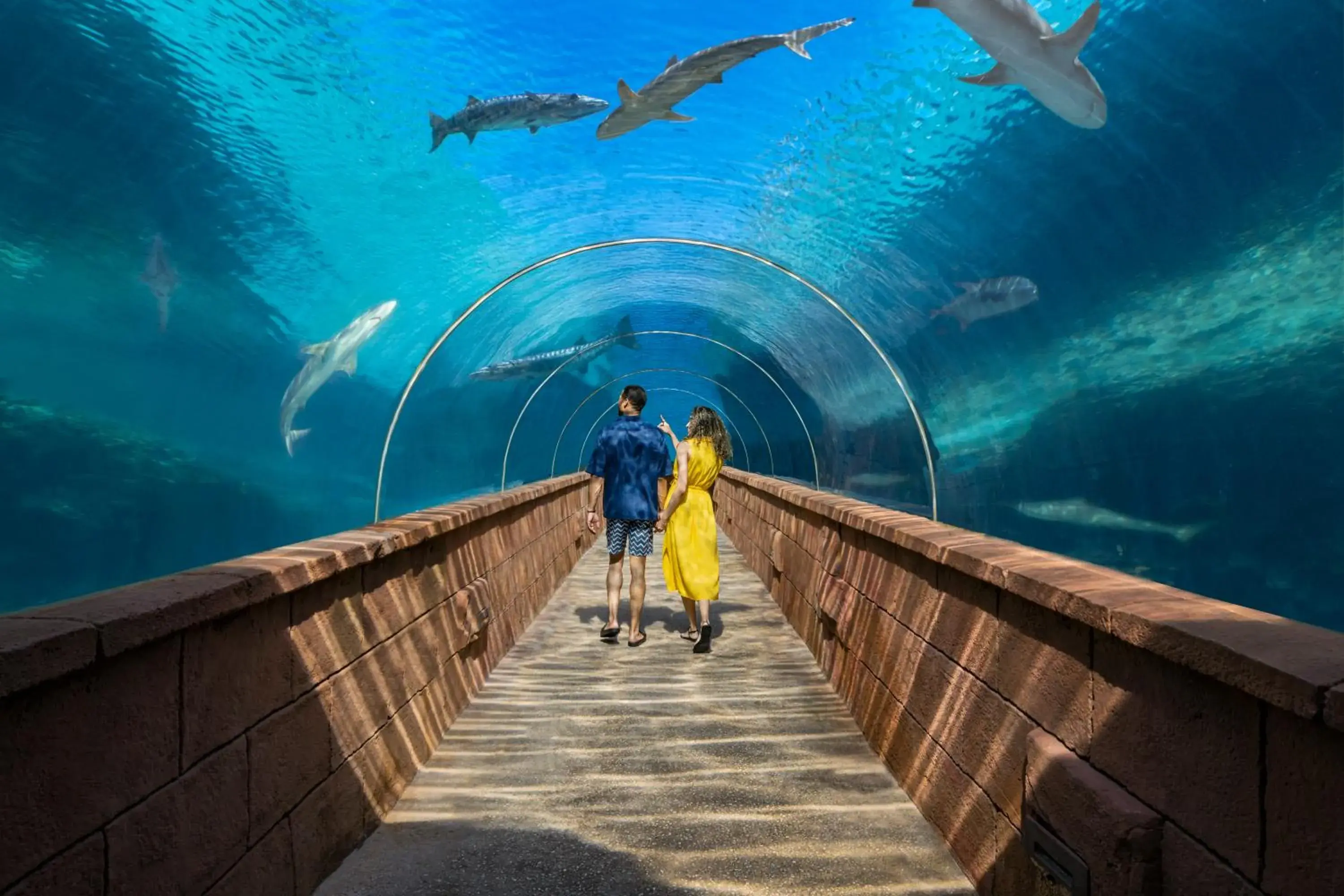 View (from property/room) in The Coral at Atlantis View (from property/room) in The Coral at Atlantis