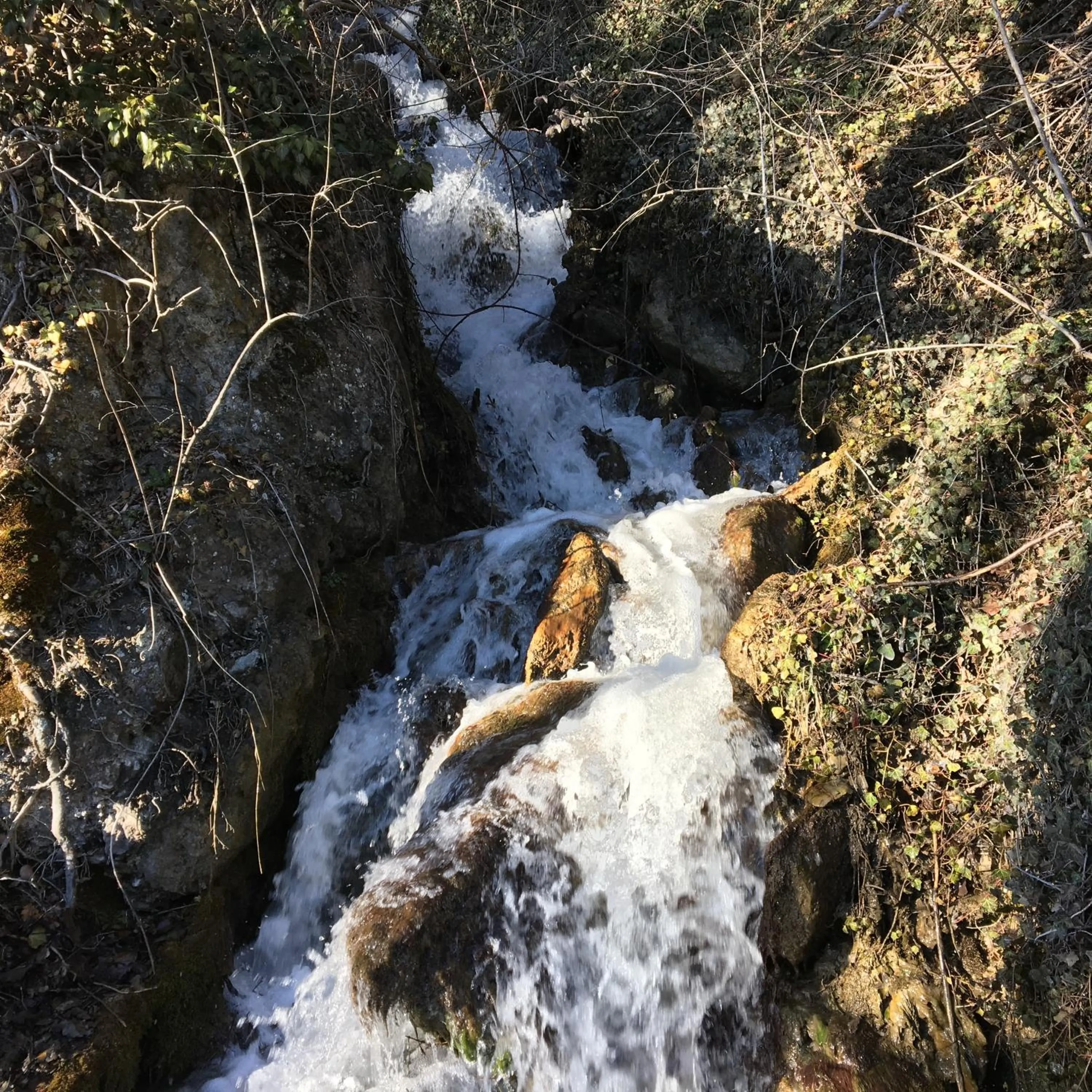 Activities in B&B La Forge de Diogne - luxury and cosy alpine lodge