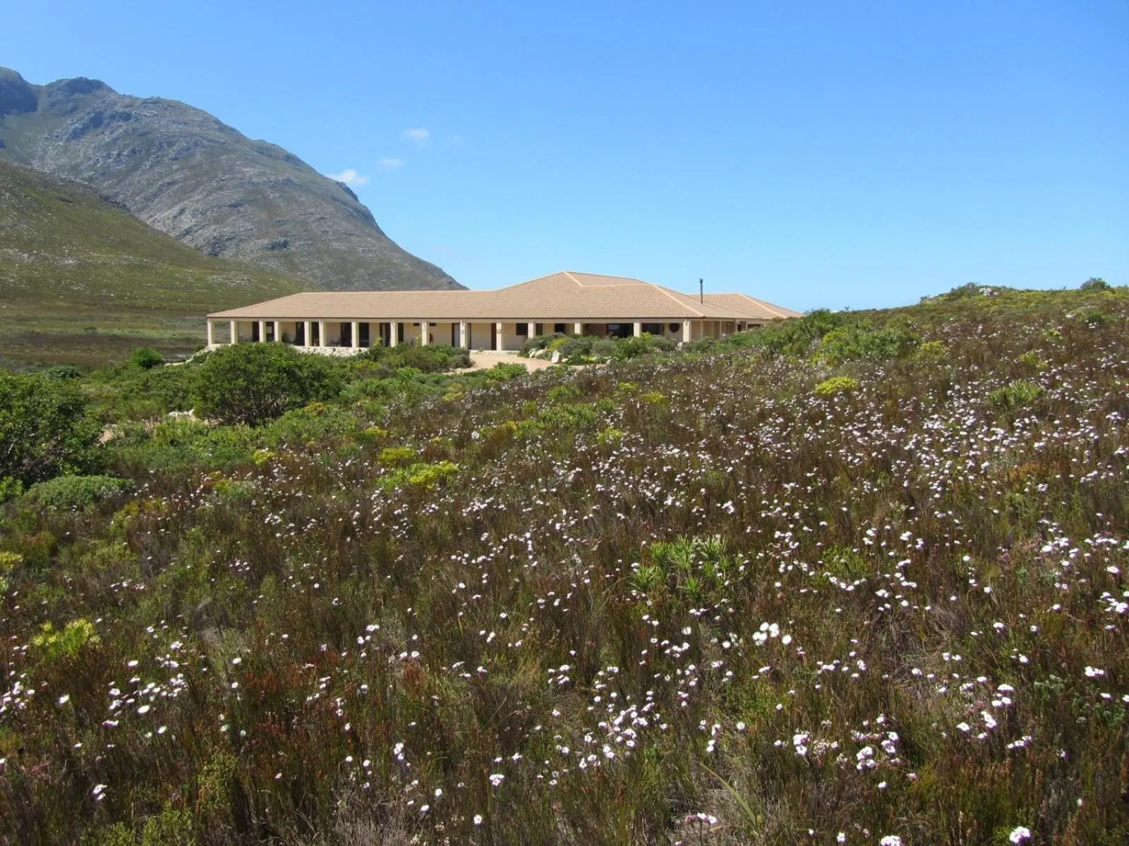 Kapensis Guesthouse (Pty) Ltd