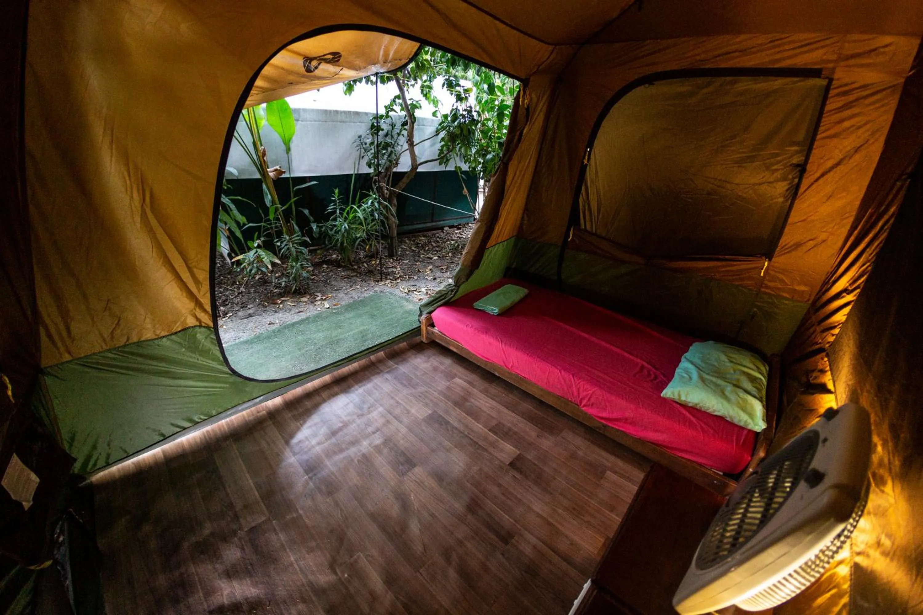 Bed in Dougies Backpackers Resort