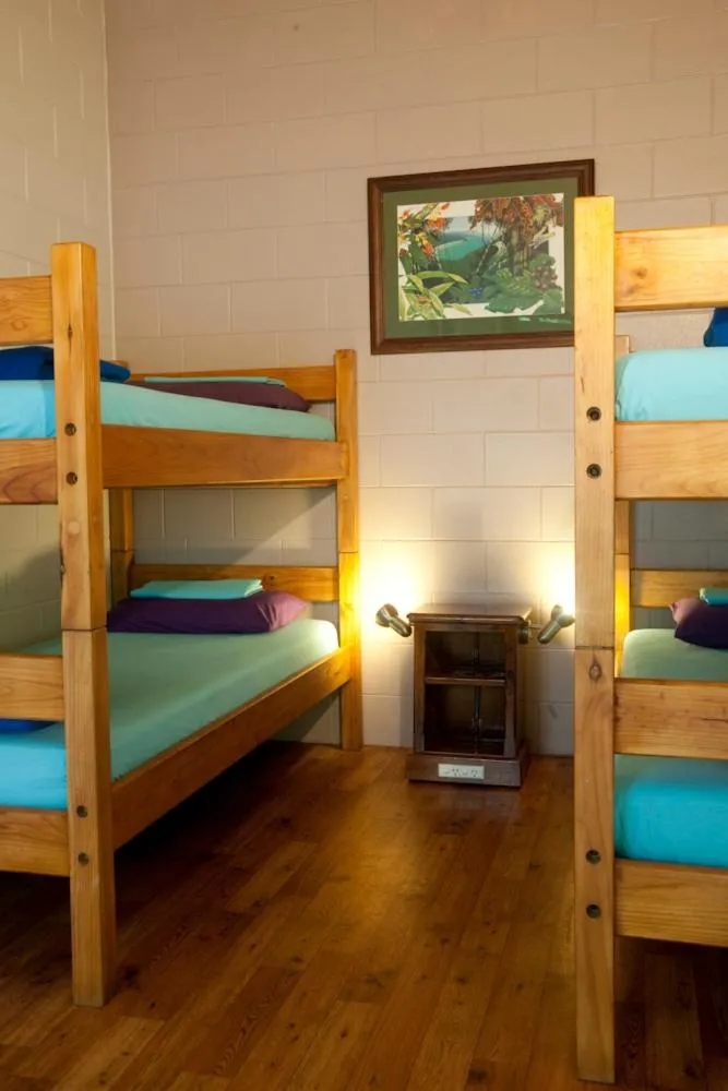 Bed in Dougies Backpackers Resort