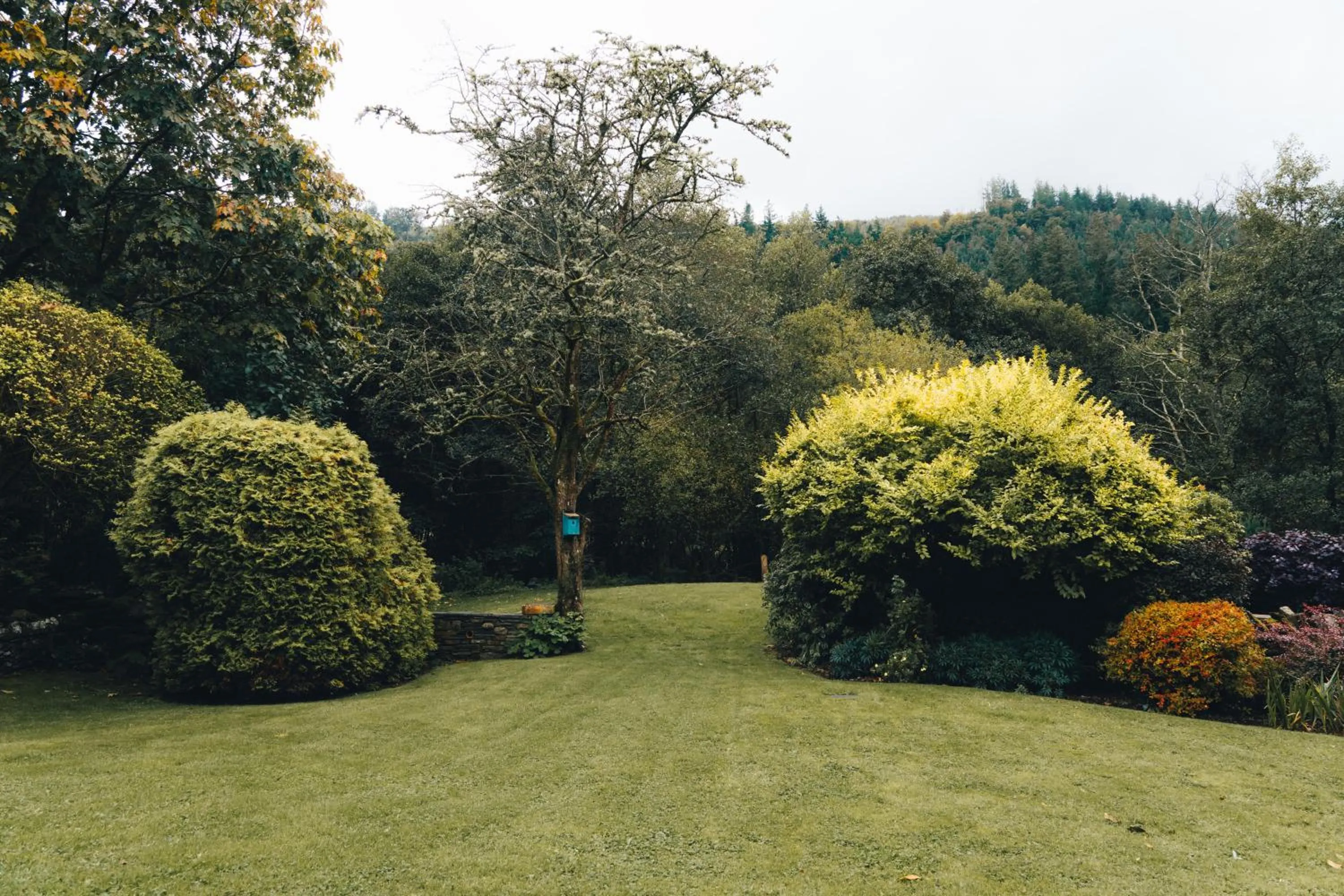 Garden in The Pheasant Inn - The Inn Collection Group