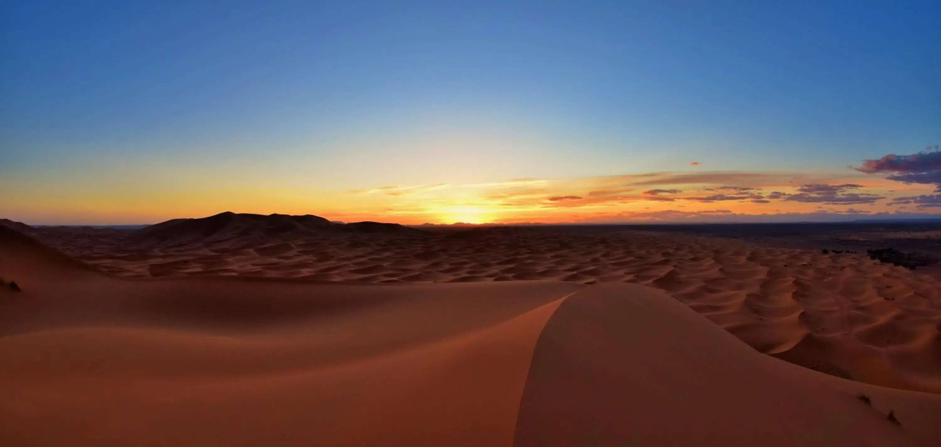 Property building in Palmeras Y Dunas Luxery Camp Property building in Palmeras Y Dunas Luxery Camp