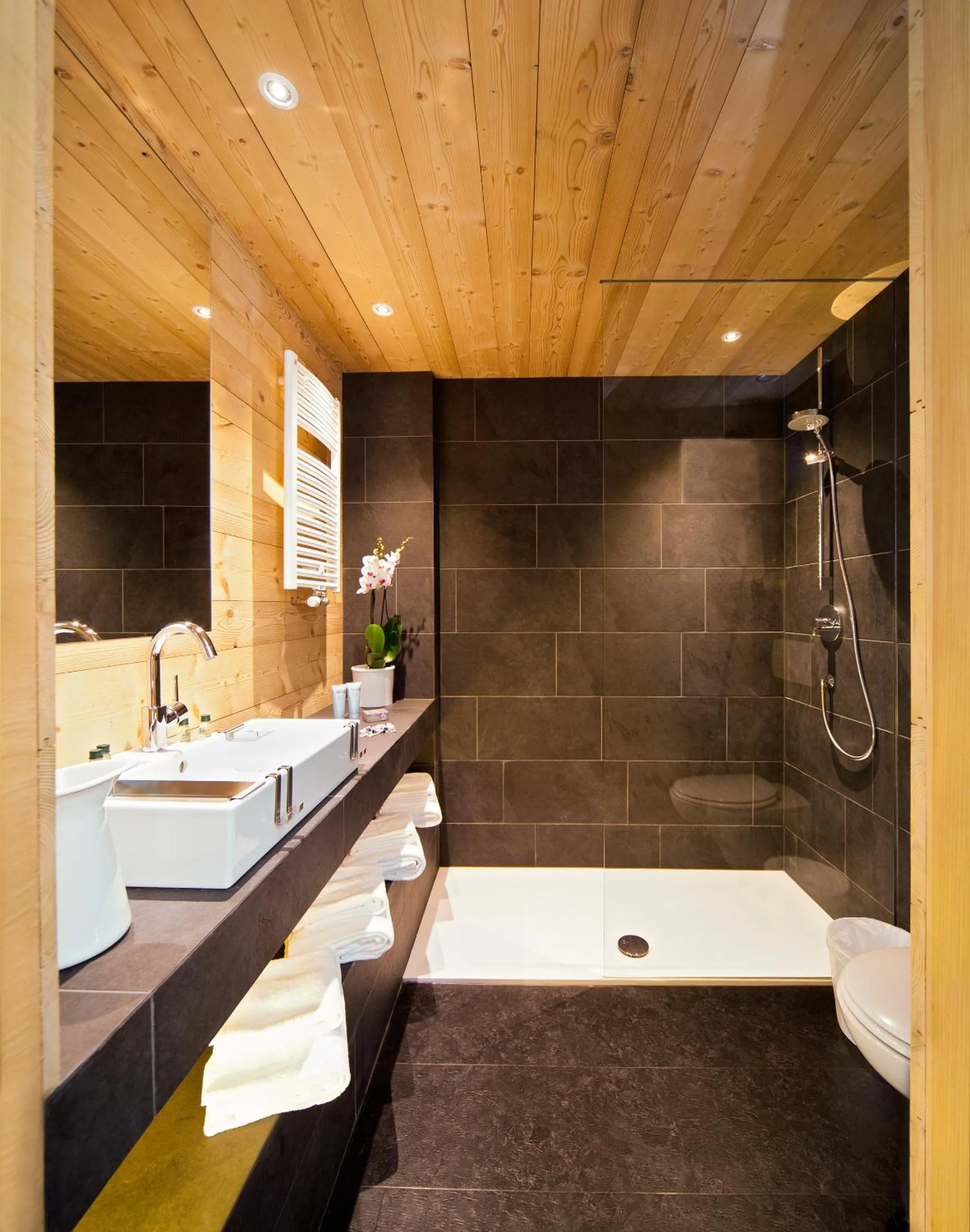 Shower in Glacier Hotel Grawand