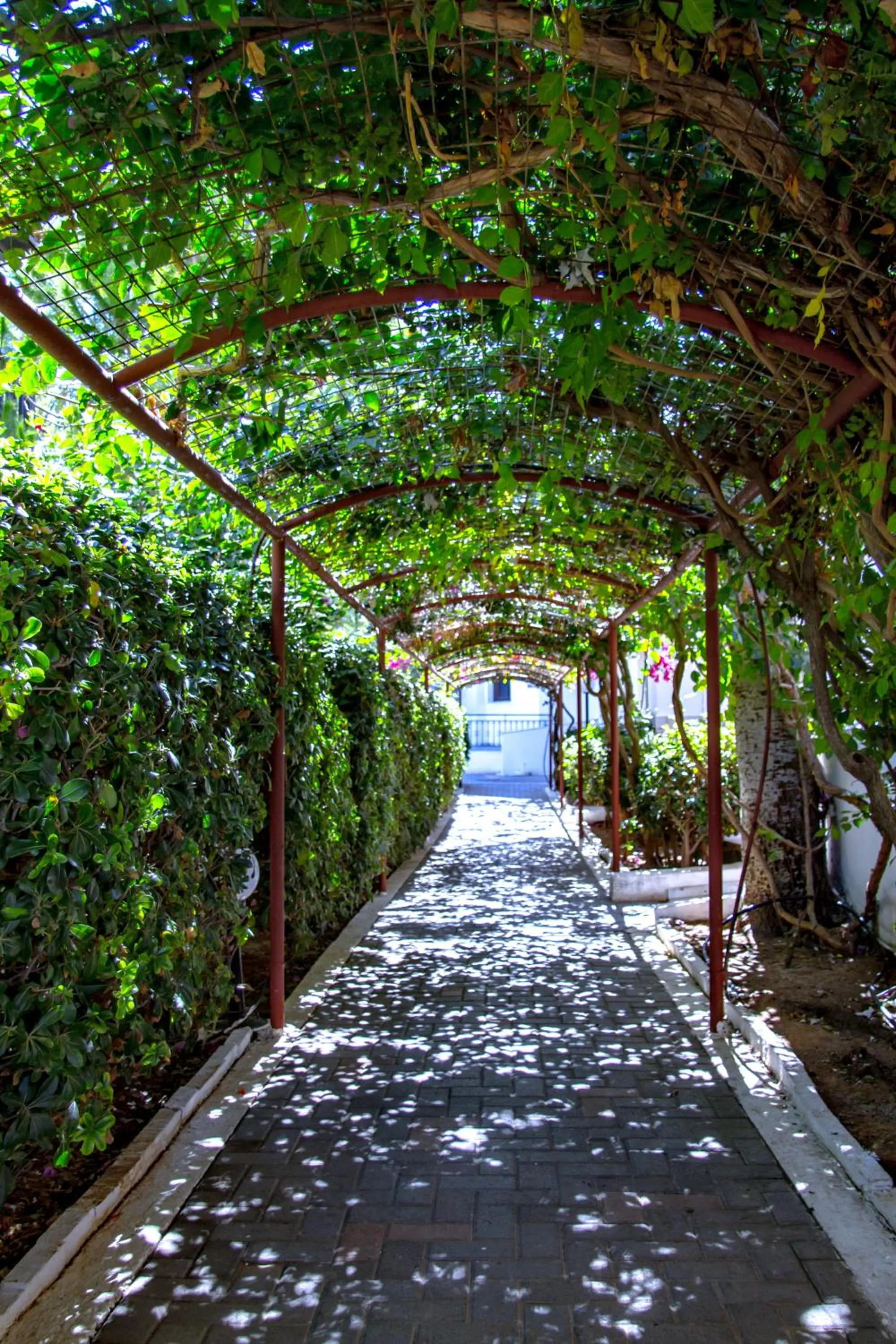 Property building in Lyda Hotel