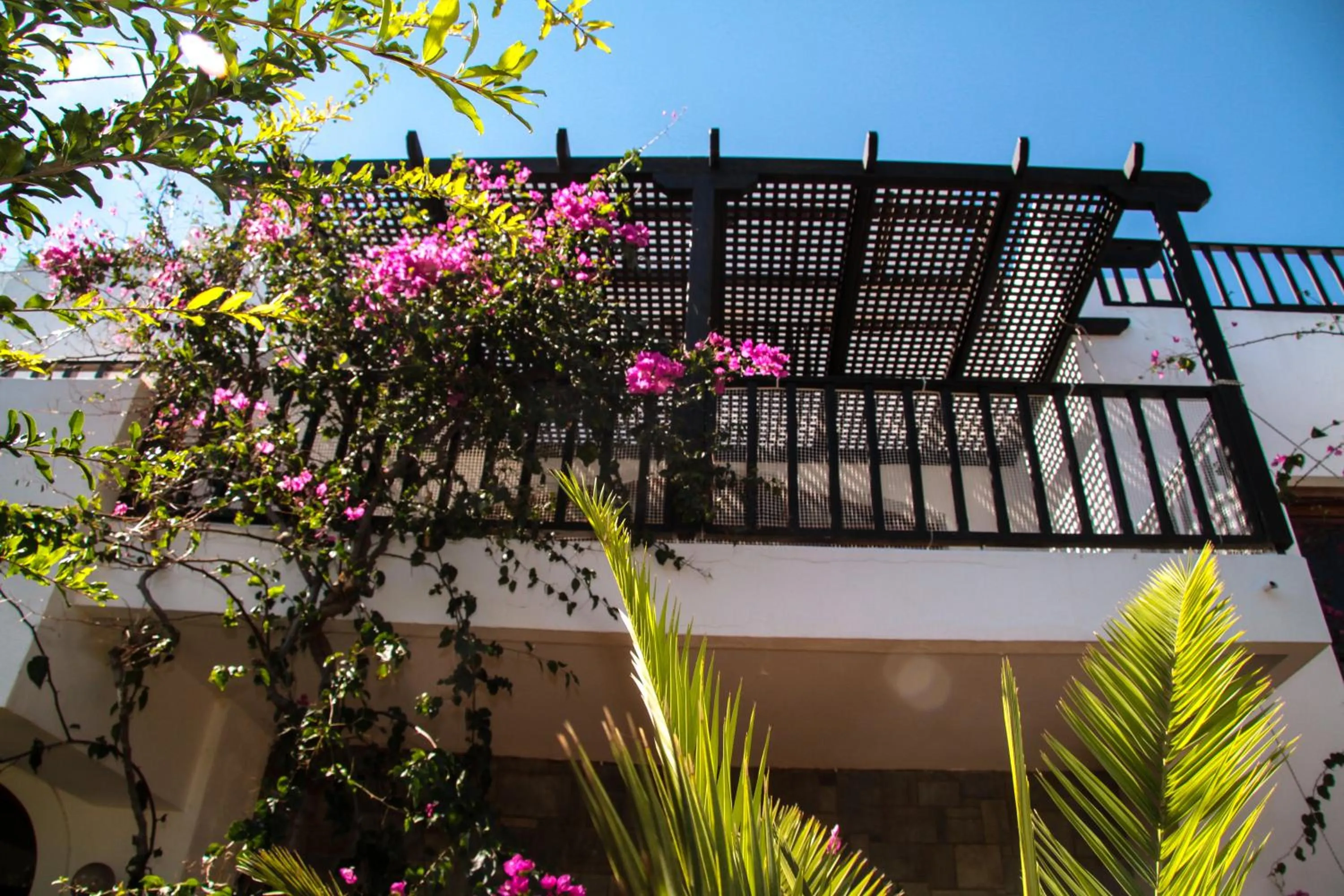 Property building in Lyda Hotel