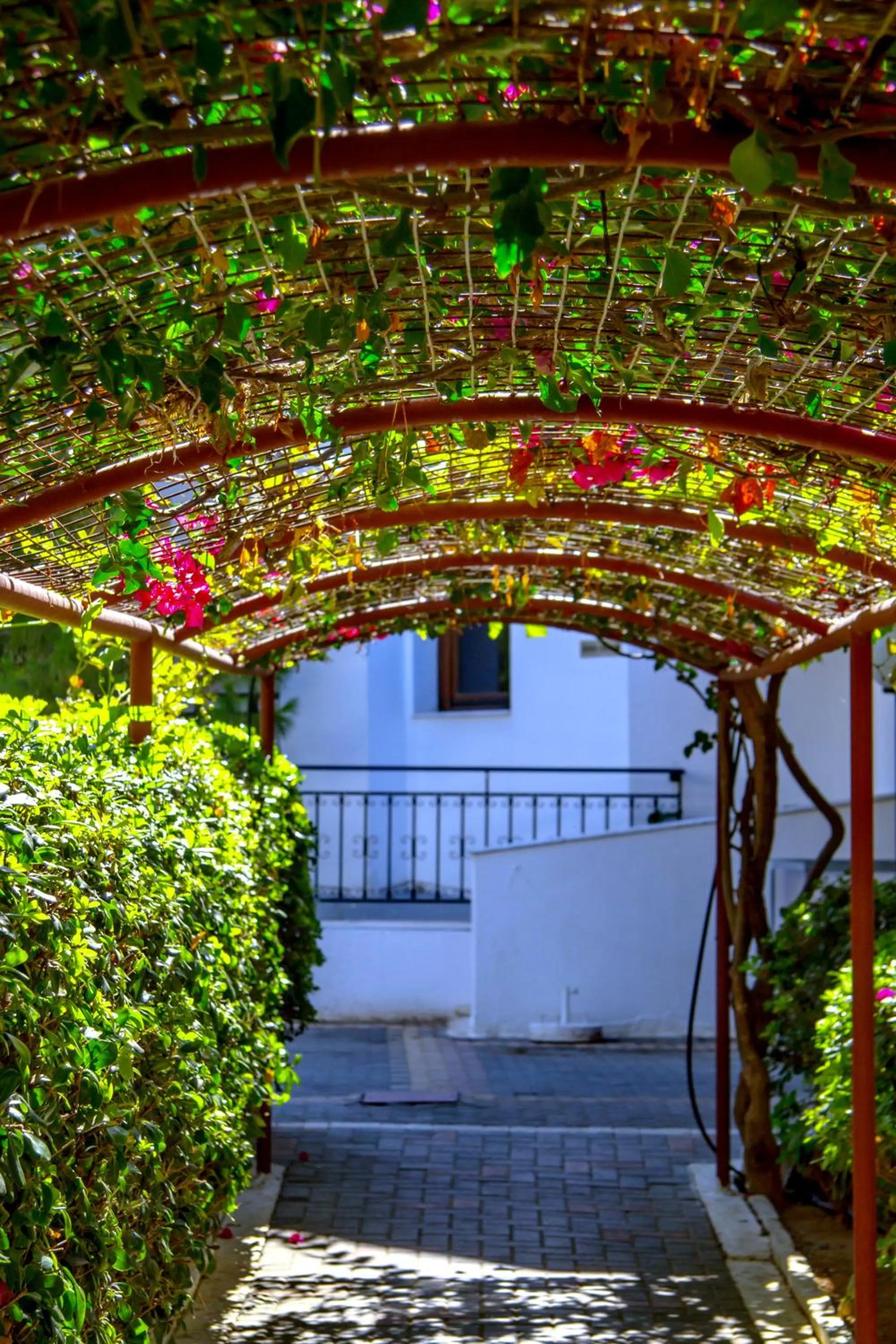 Garden in Lyda Hotel