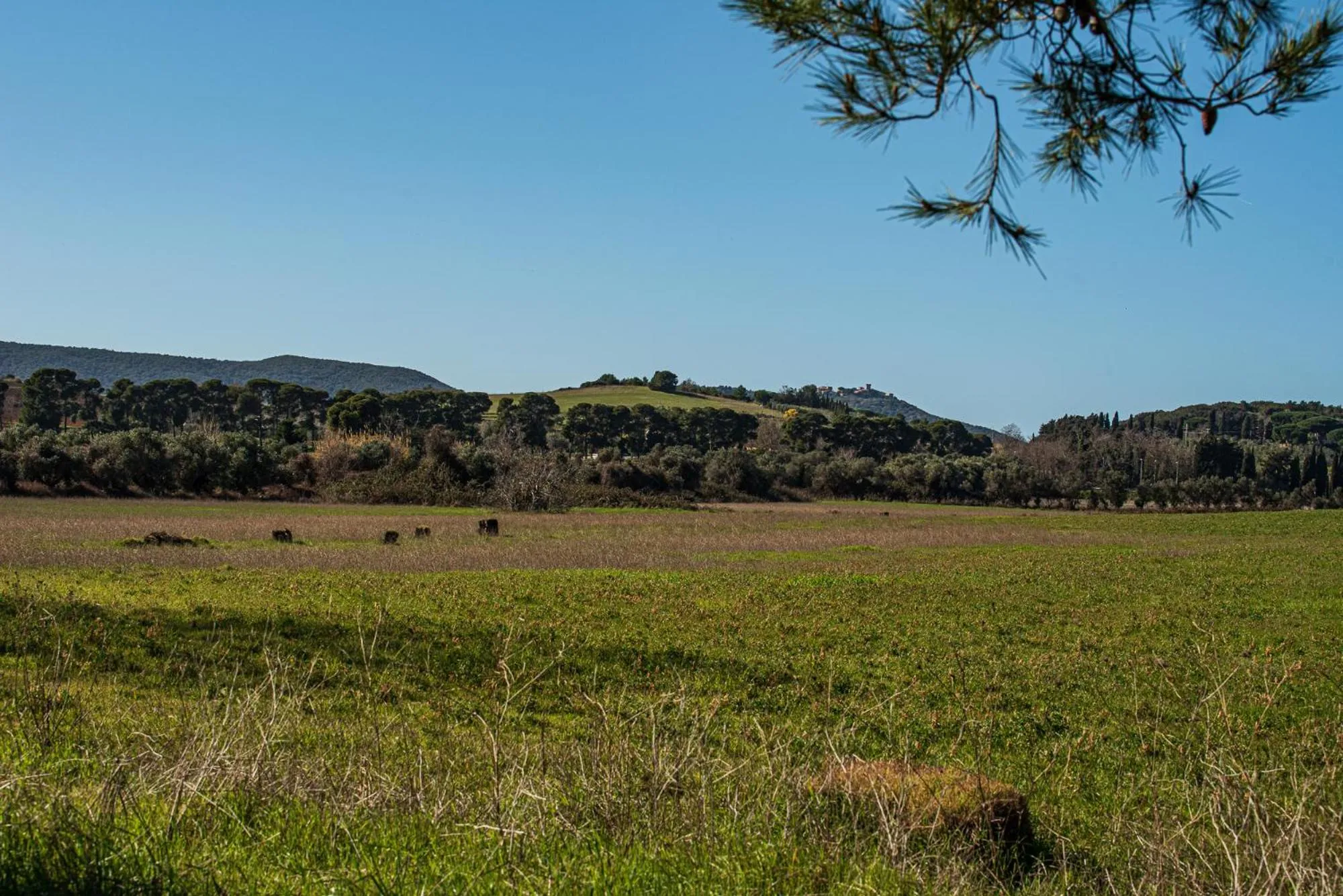 Hiking in Poggio all'Agnello Sport & Family Holidays