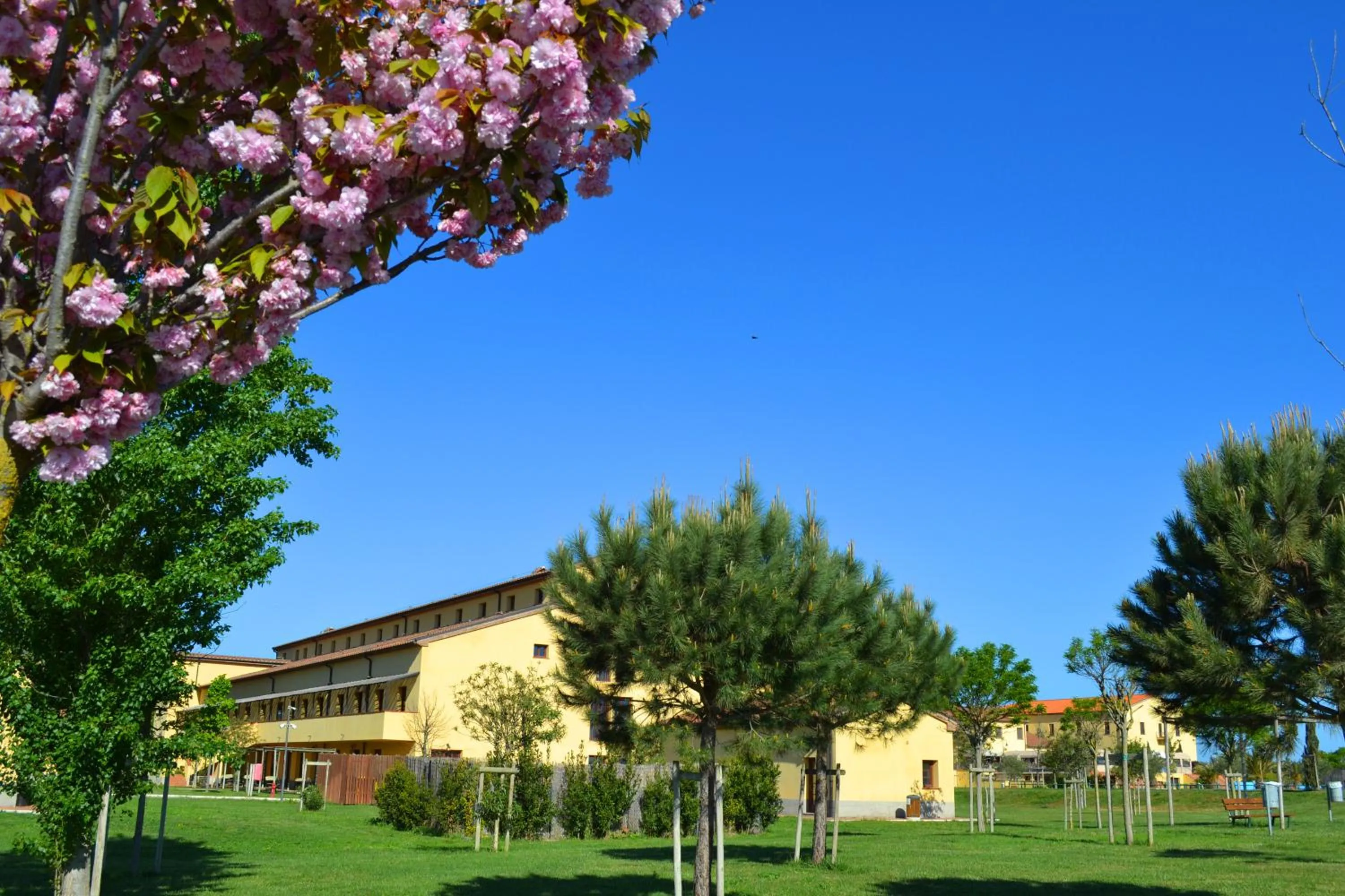 Garden view in Poggio all'Agnello Sport & Family Holidays