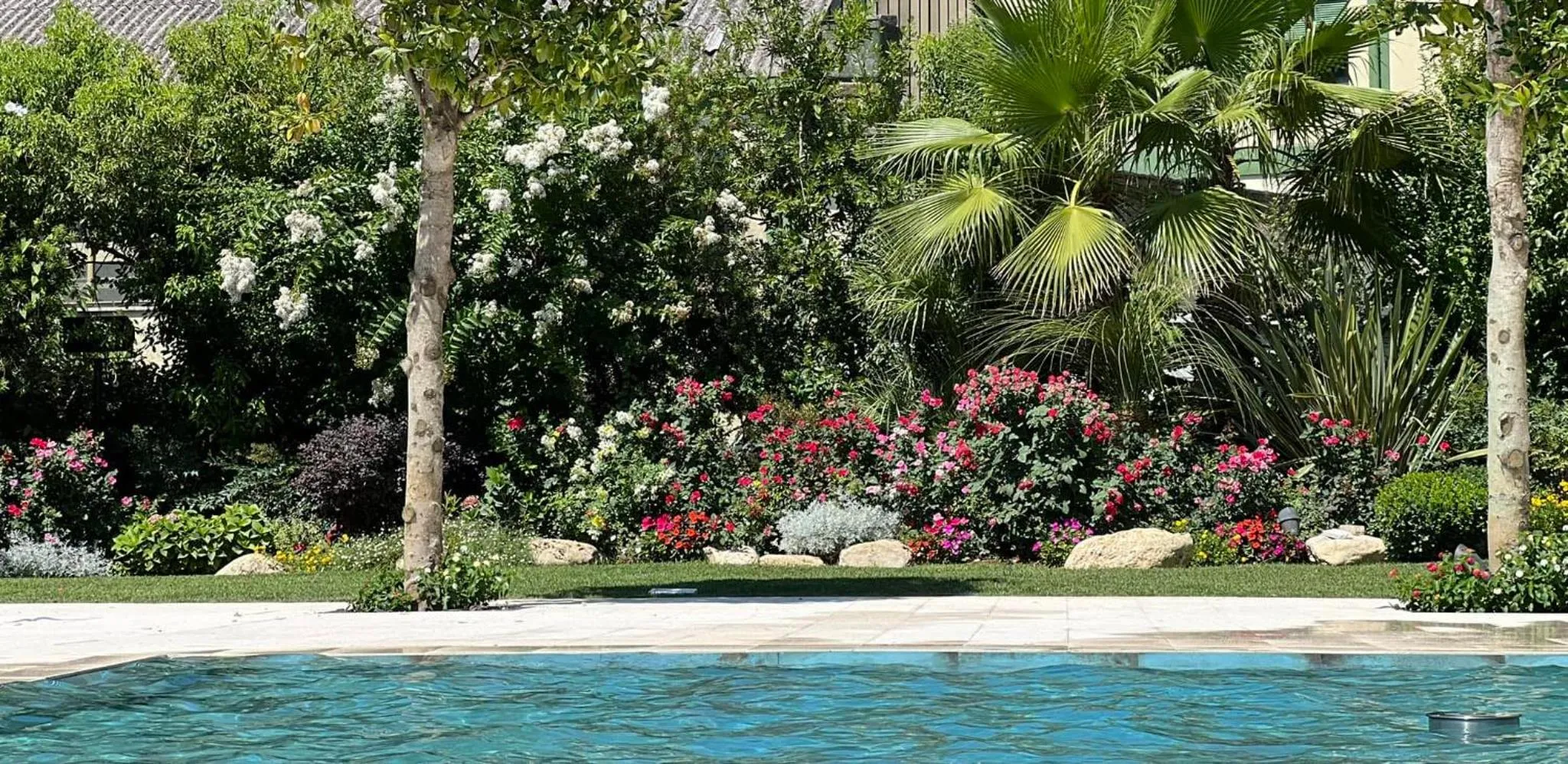 Garden in Hotel Liola'