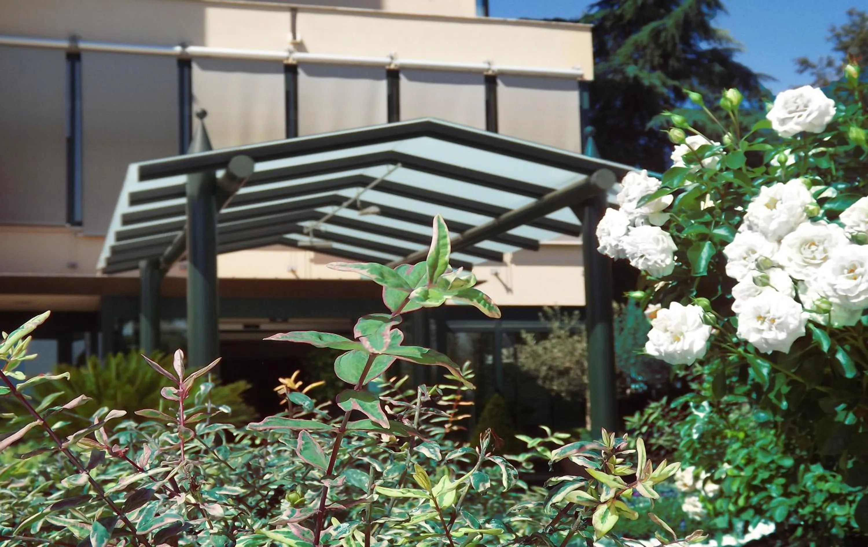 Facade/entrance in Hotel Liola'