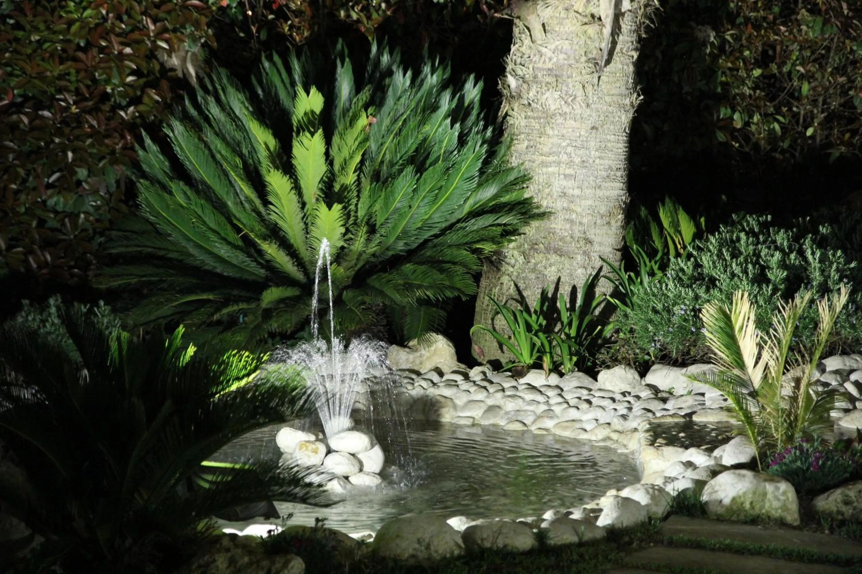 Garden in Hotel Liola'