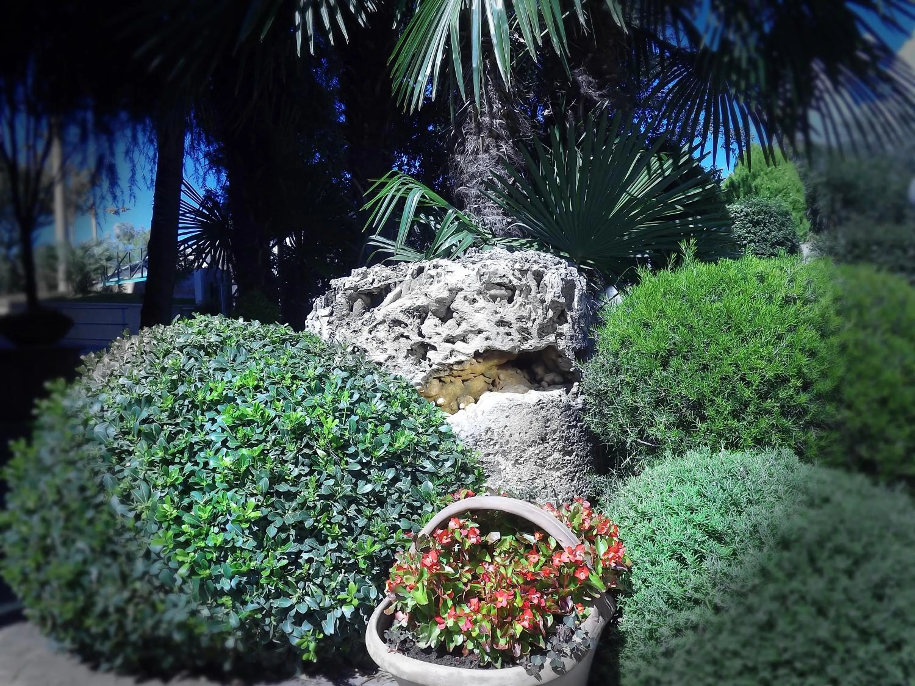 Facade/entrance in Hotel Liola'