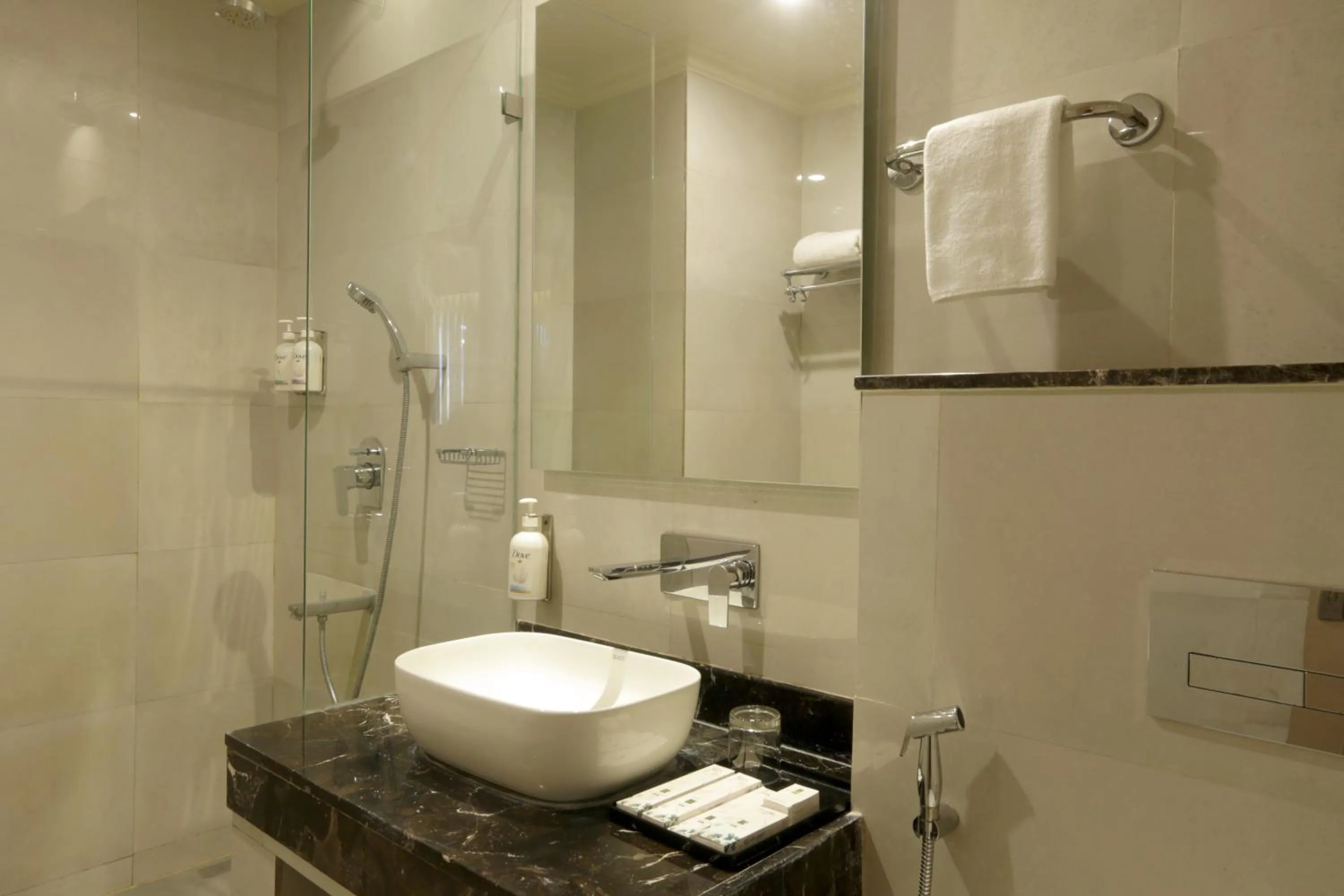 Bathroom in Resort De Coracao - Calangute , Goa