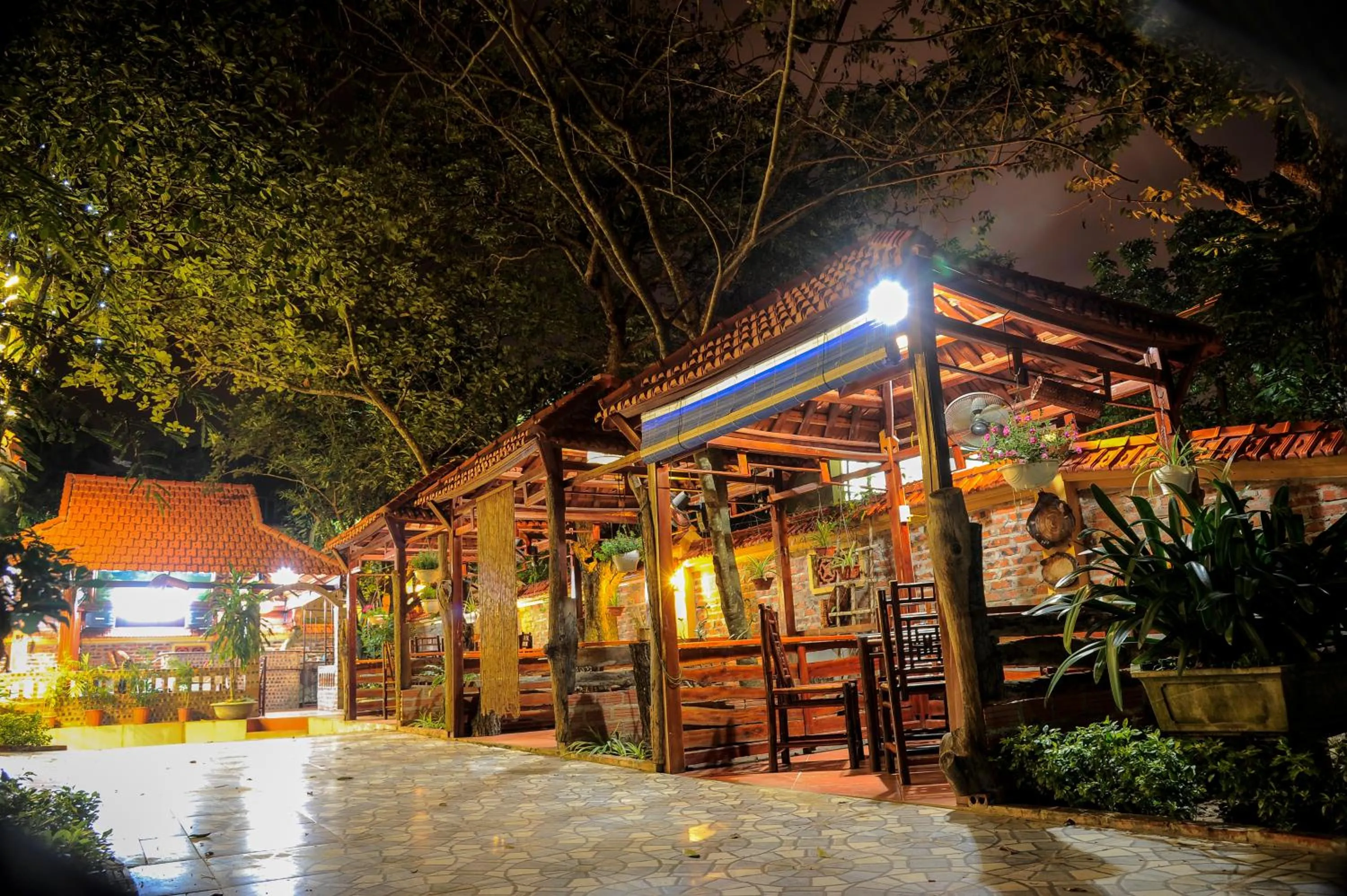 Garden in Hoang Giang Homestay