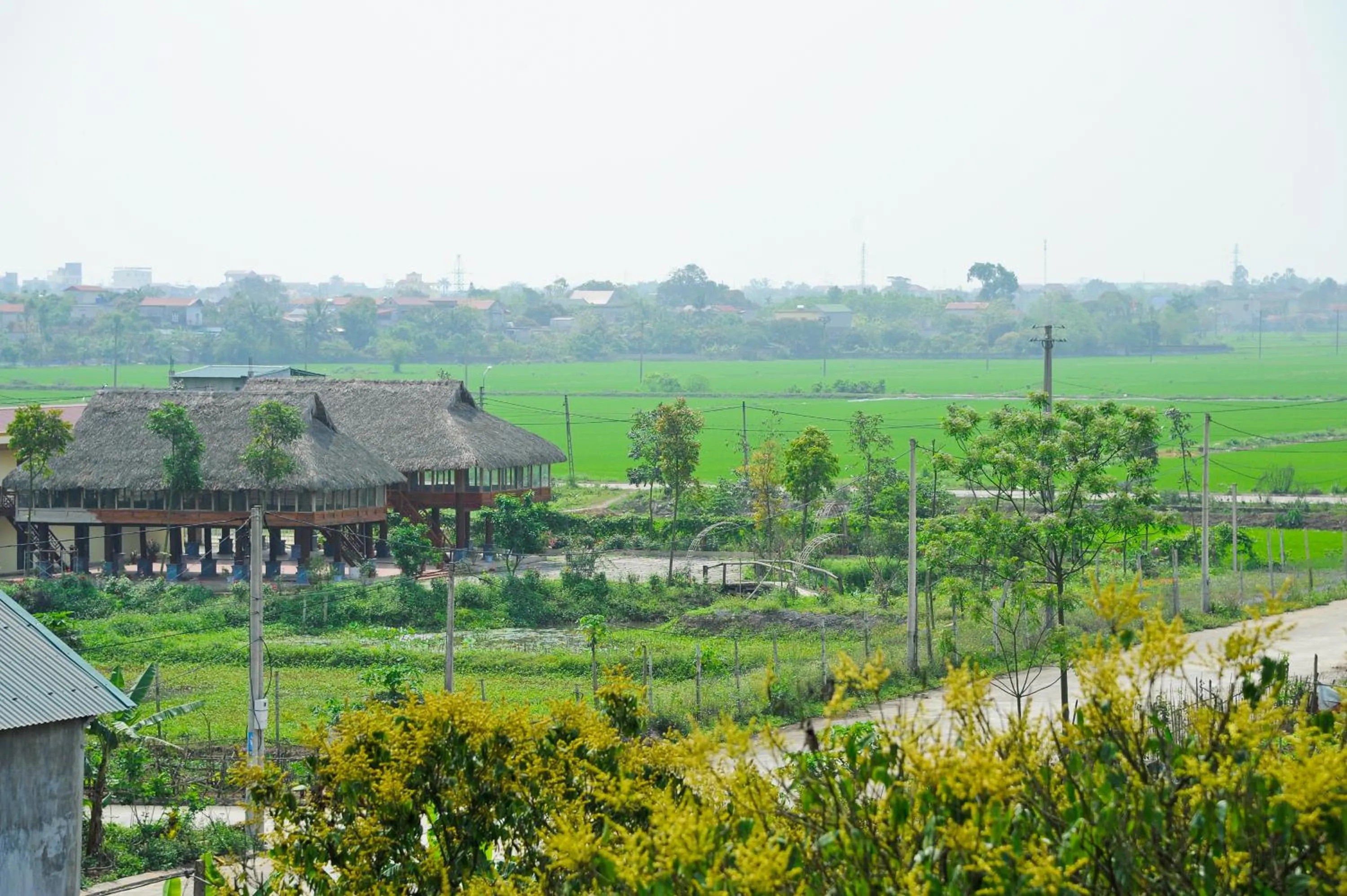 Neighbourhood in Hoang Giang Homestay
