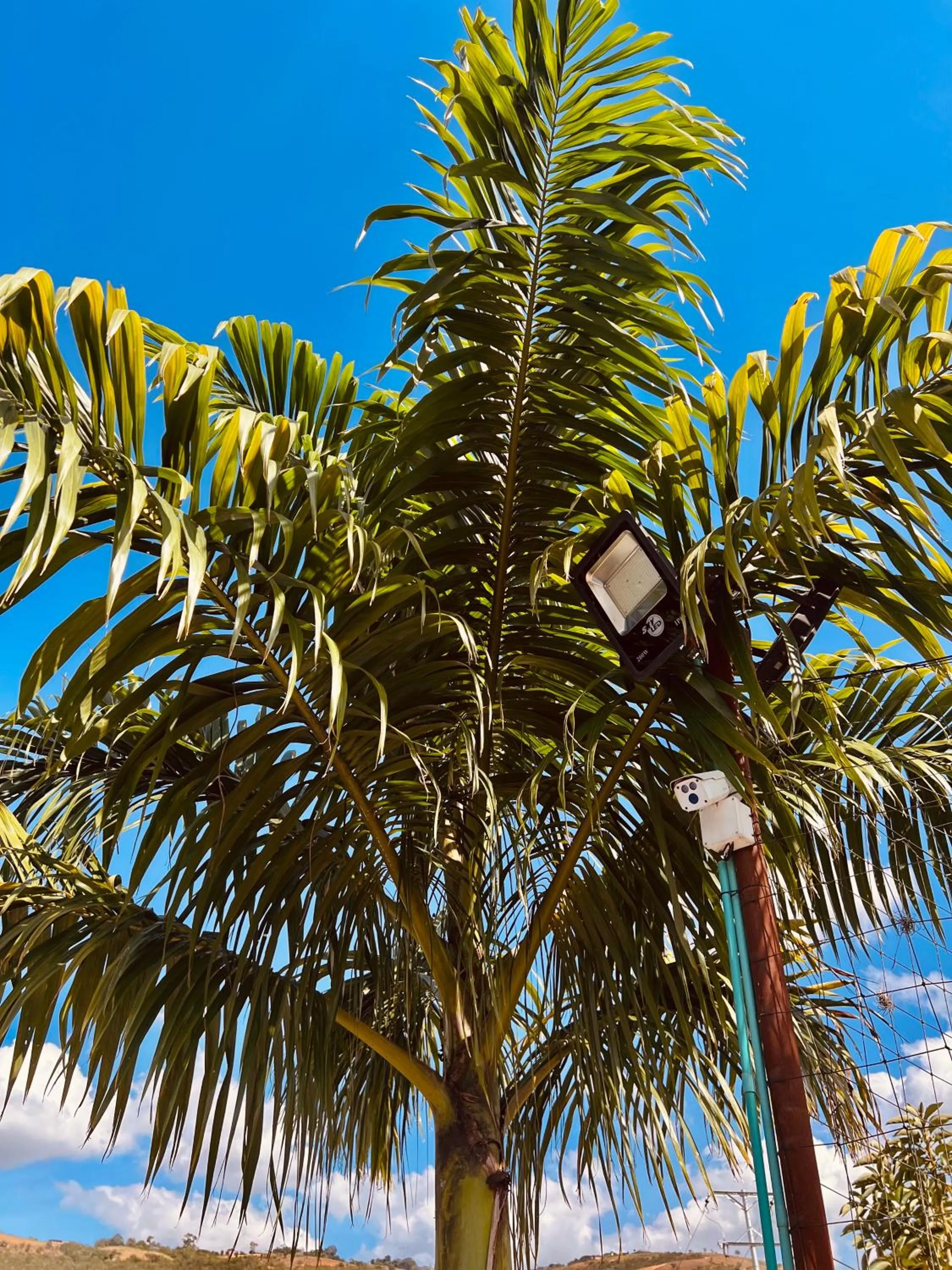 Off site in Hotel Campestre Palmas del Zamorano