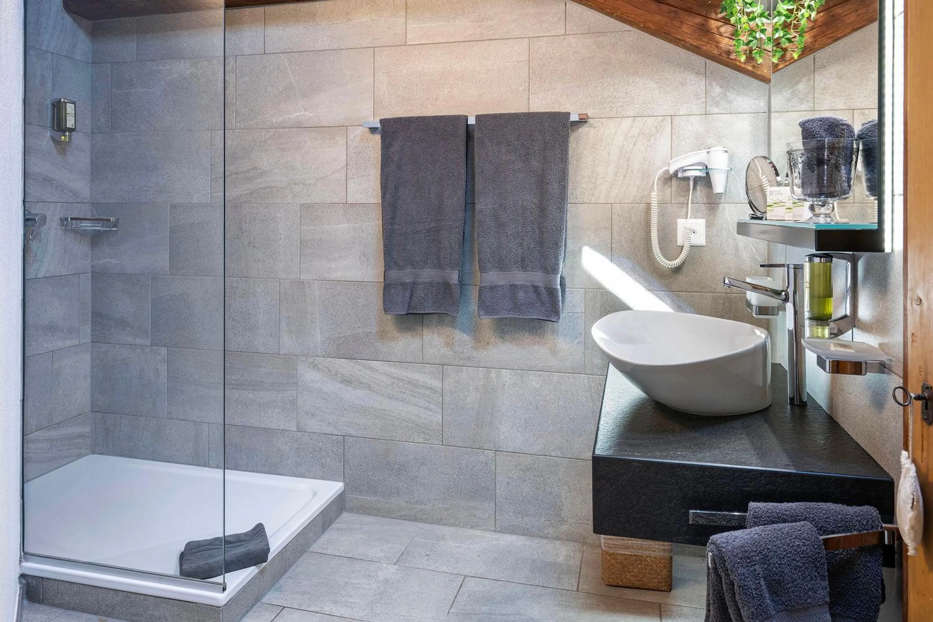 Shower in Hôtel La Maison du Prussien